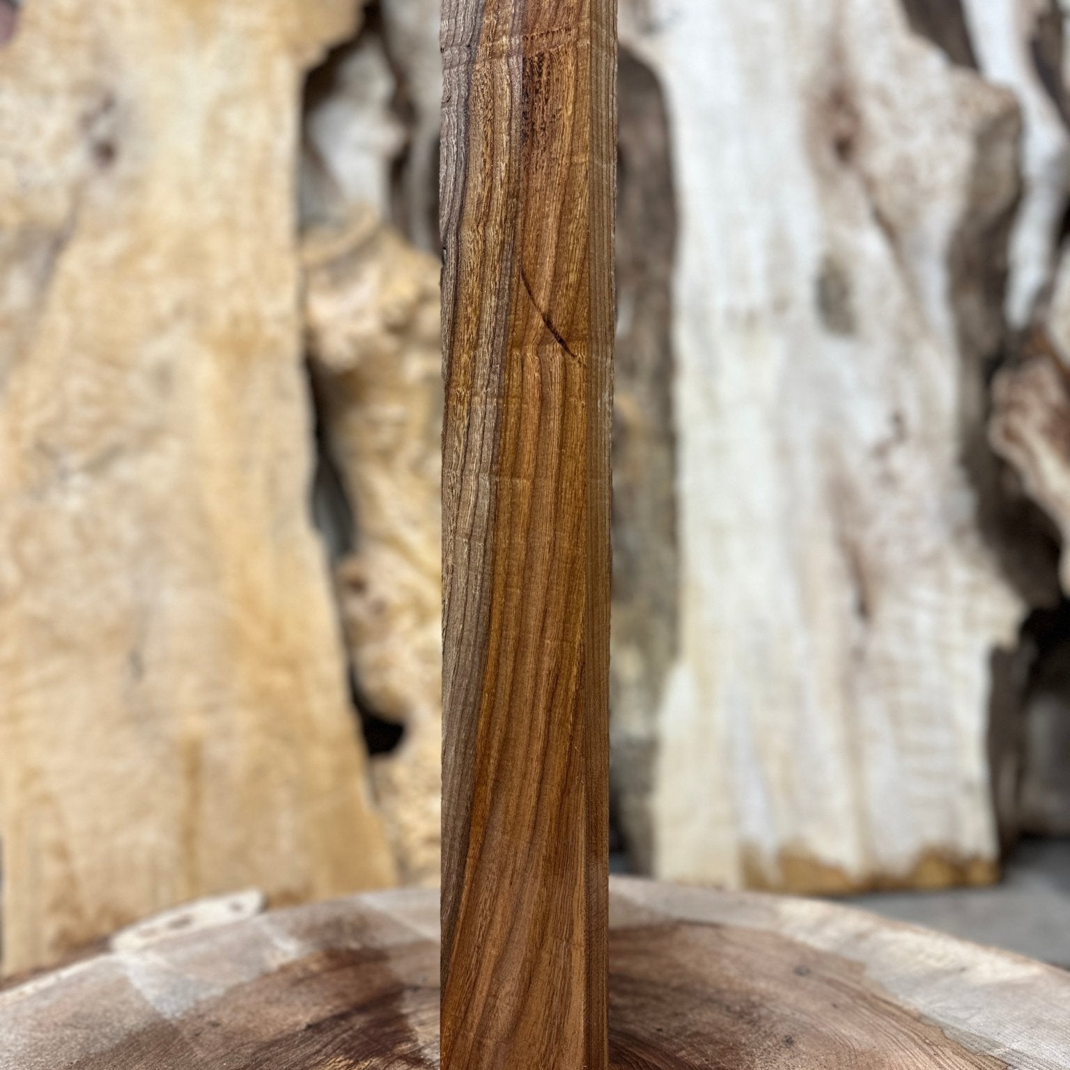 Elm Blank | Elm | Hamilton Lee Supply