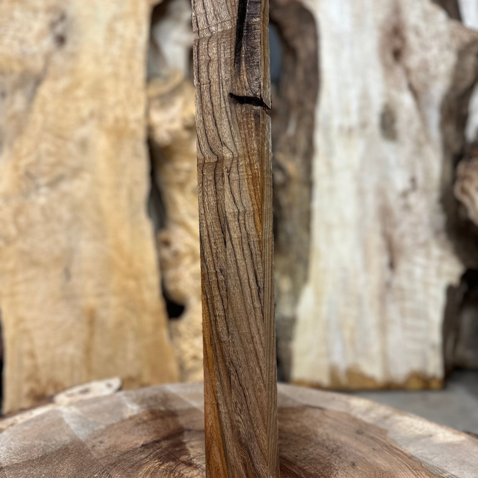 Elm Blank | Elm | Hamilton Lee Supply