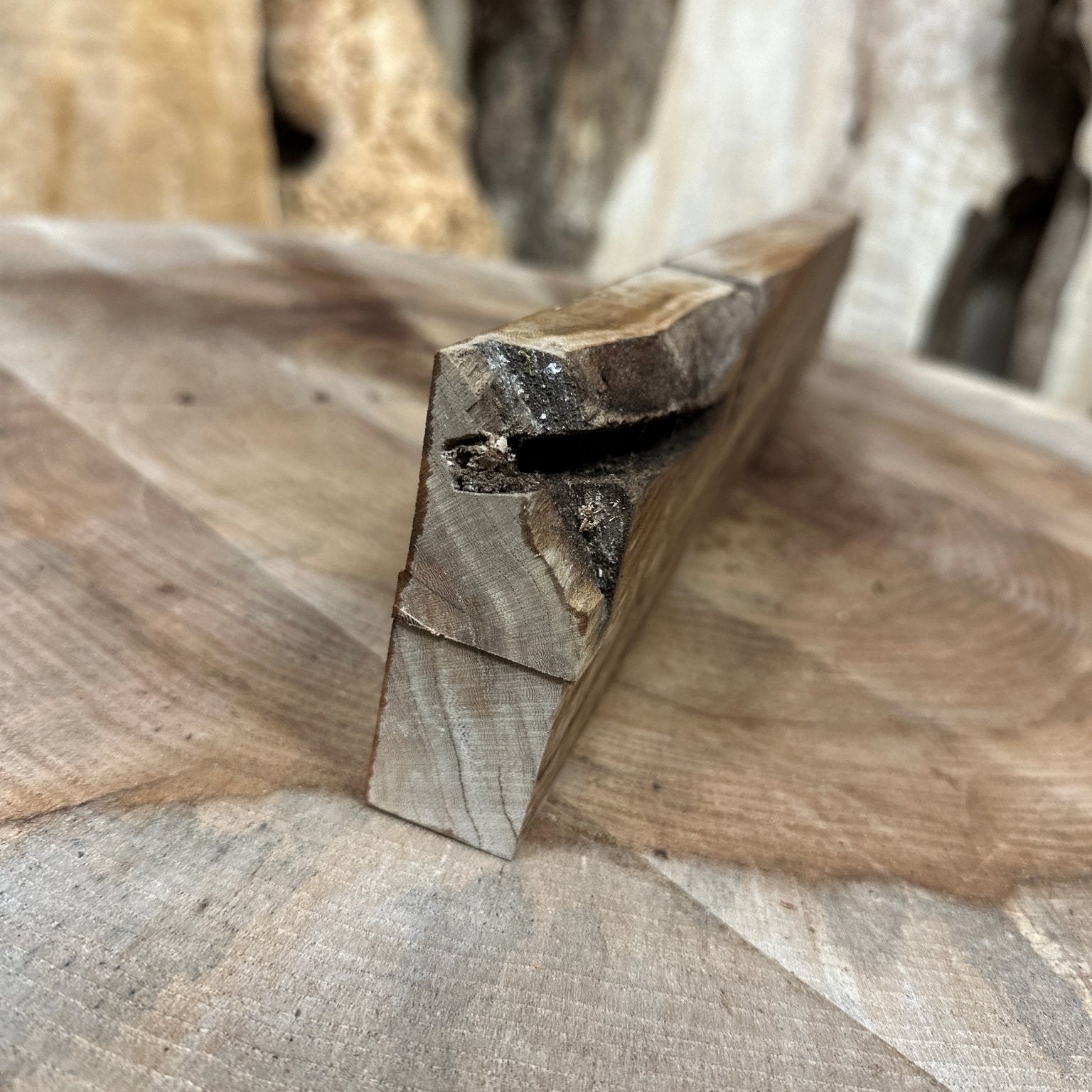 Elm Blank | Elm | Hamilton Lee Supply
