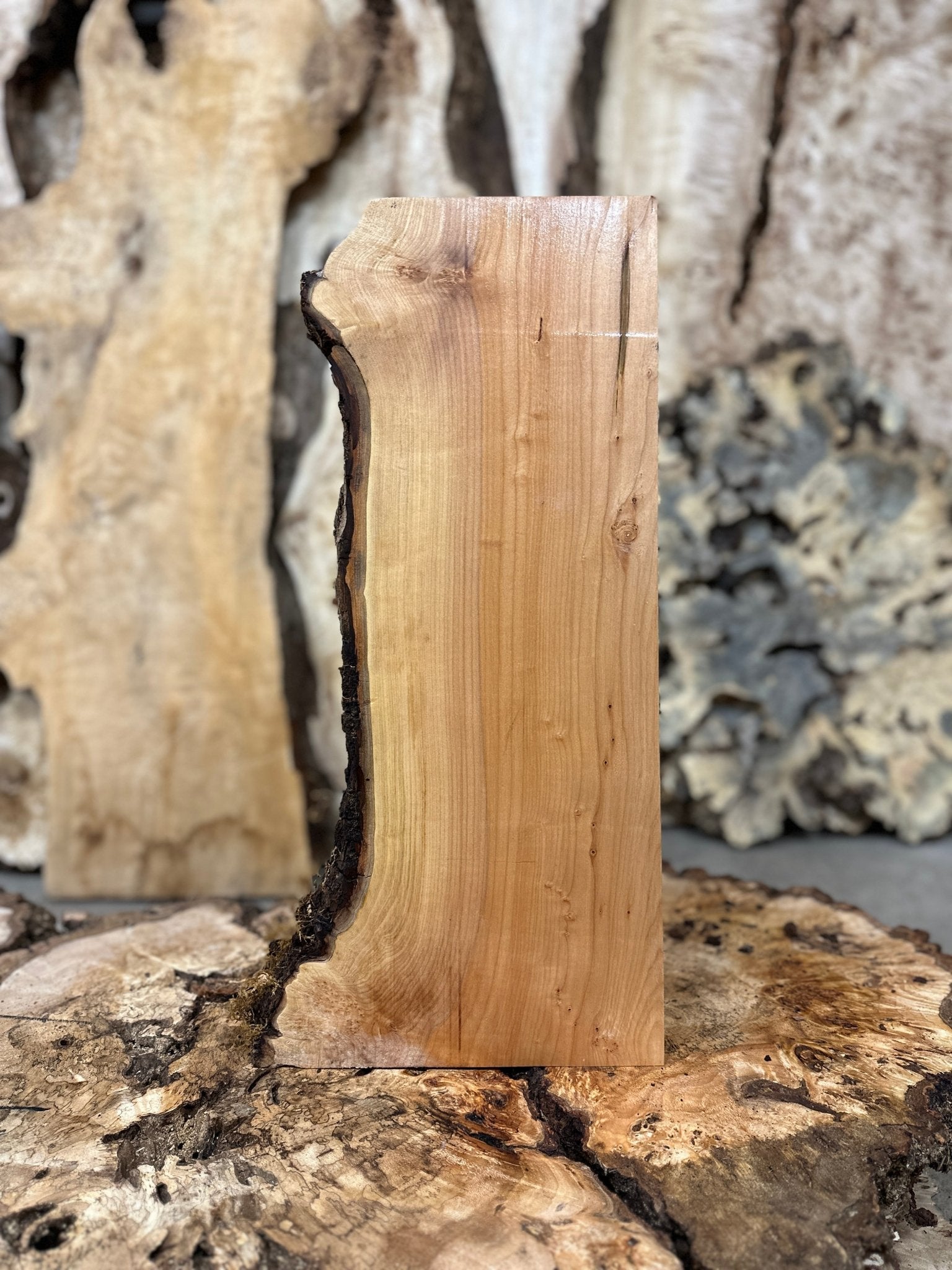 LiveEdge Big Leaf Maple | Big Leaf Maple | Hamilton Lee Supply