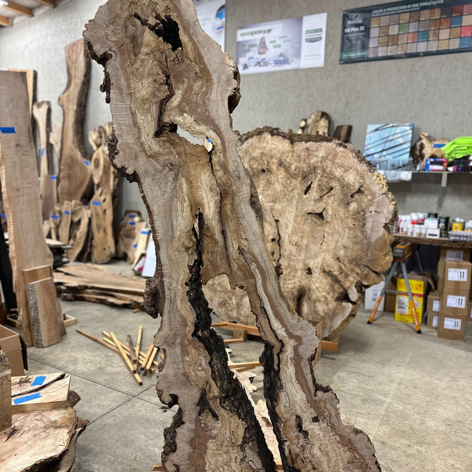 LiveEdge Big Leaf Maple | Big Leaf Maple | Hamilton Lee Supply