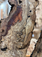 LiveEdge Big Leaf Maple | Big Leaf Maple | Hamilton Lee Supply