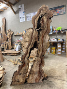 LiveEdge Big Leaf Maple | Big Leaf Maple | Hamilton Lee Supply
