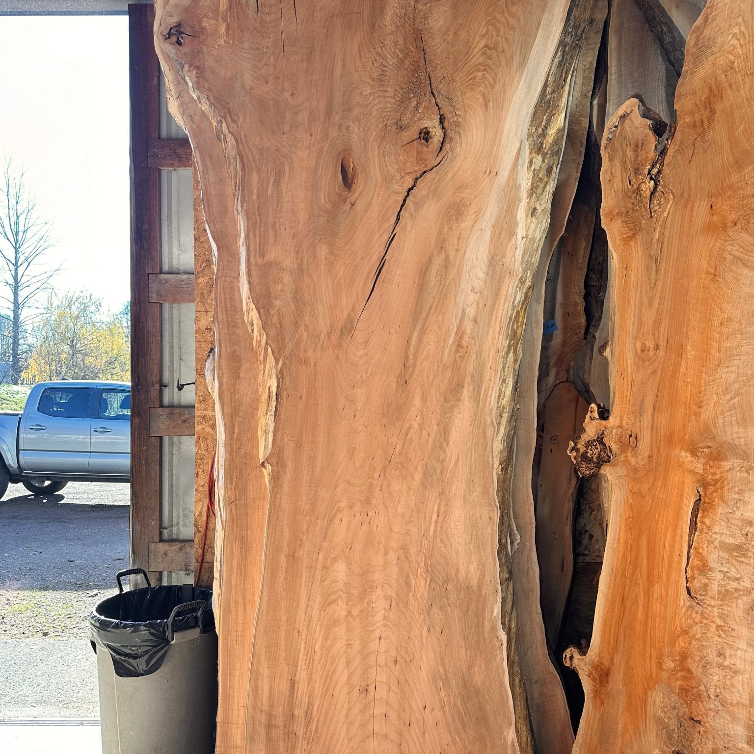 LiveEdge Big Leaf Maple | Big Leaf Maple | Hamilton Lee Supply