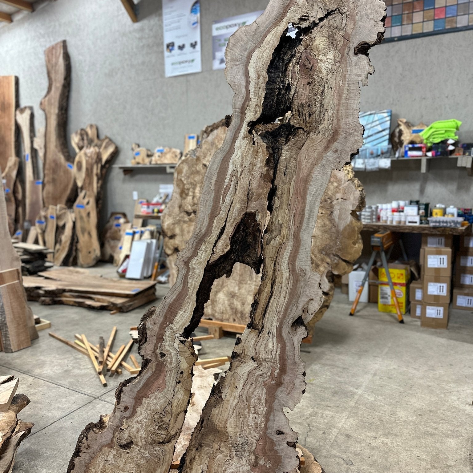 LiveEdge Big Leaf Maple | Big Leaf Maple | Hamilton Lee Supply