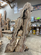 LiveEdge Big Leaf Maple | Big Leaf Maple | Hamilton Lee Supply