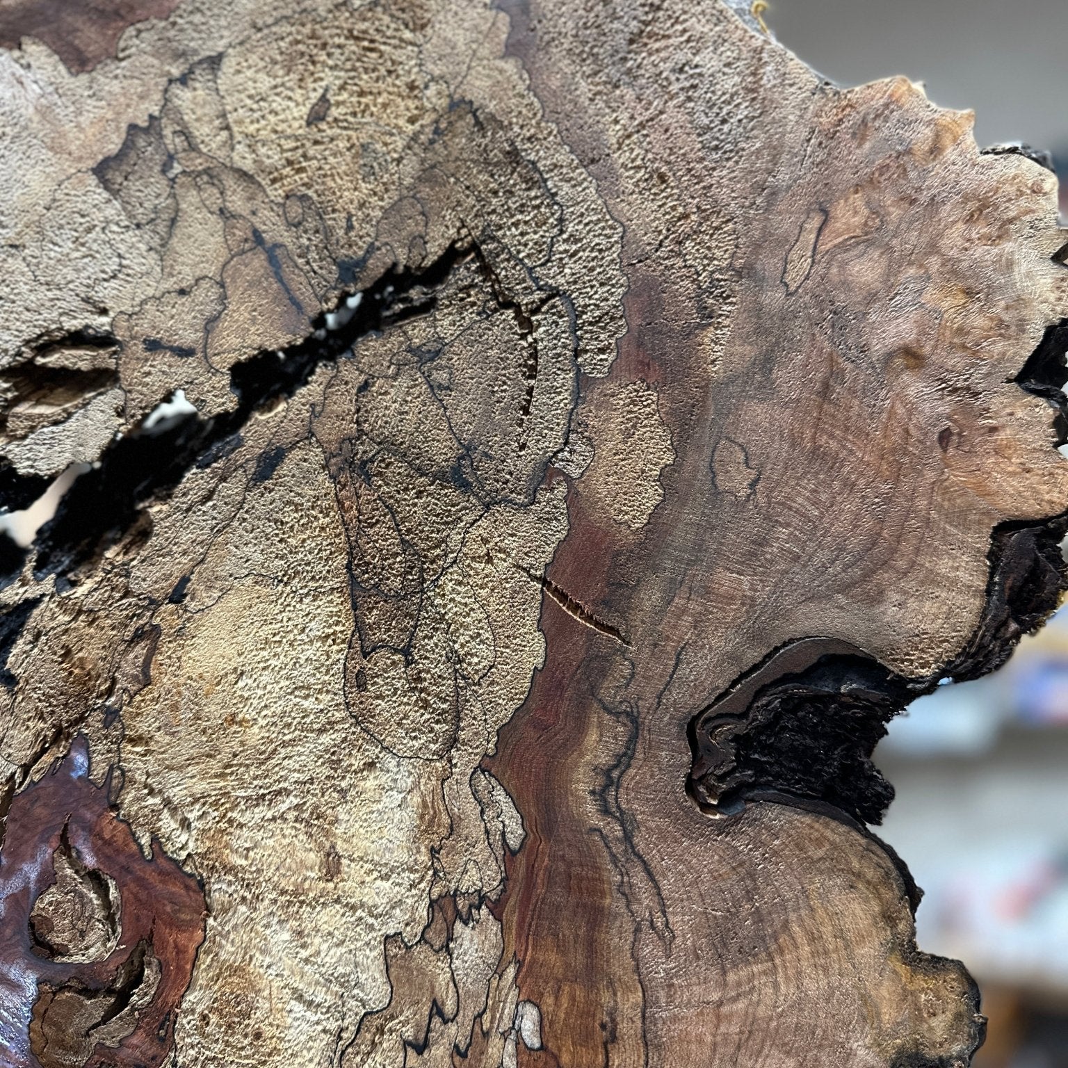 LiveEdge Big Leaf Maple | Big Leaf Maple | Hamilton Lee Supply