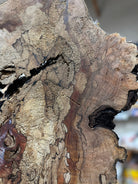 LiveEdge Big Leaf Maple | Big Leaf Maple | Hamilton Lee Supply