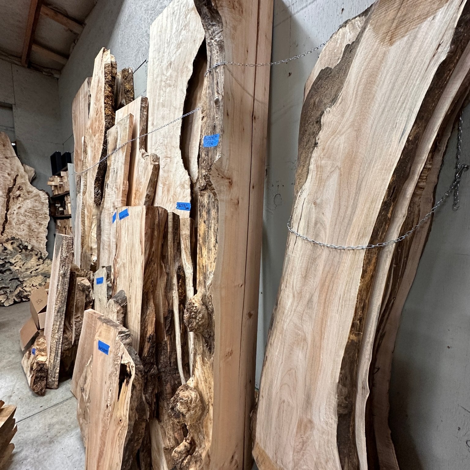 LiveEdge Big Leaf Maple Burl Mantle | Big Leaf Maple | Hamilton Lee Supply