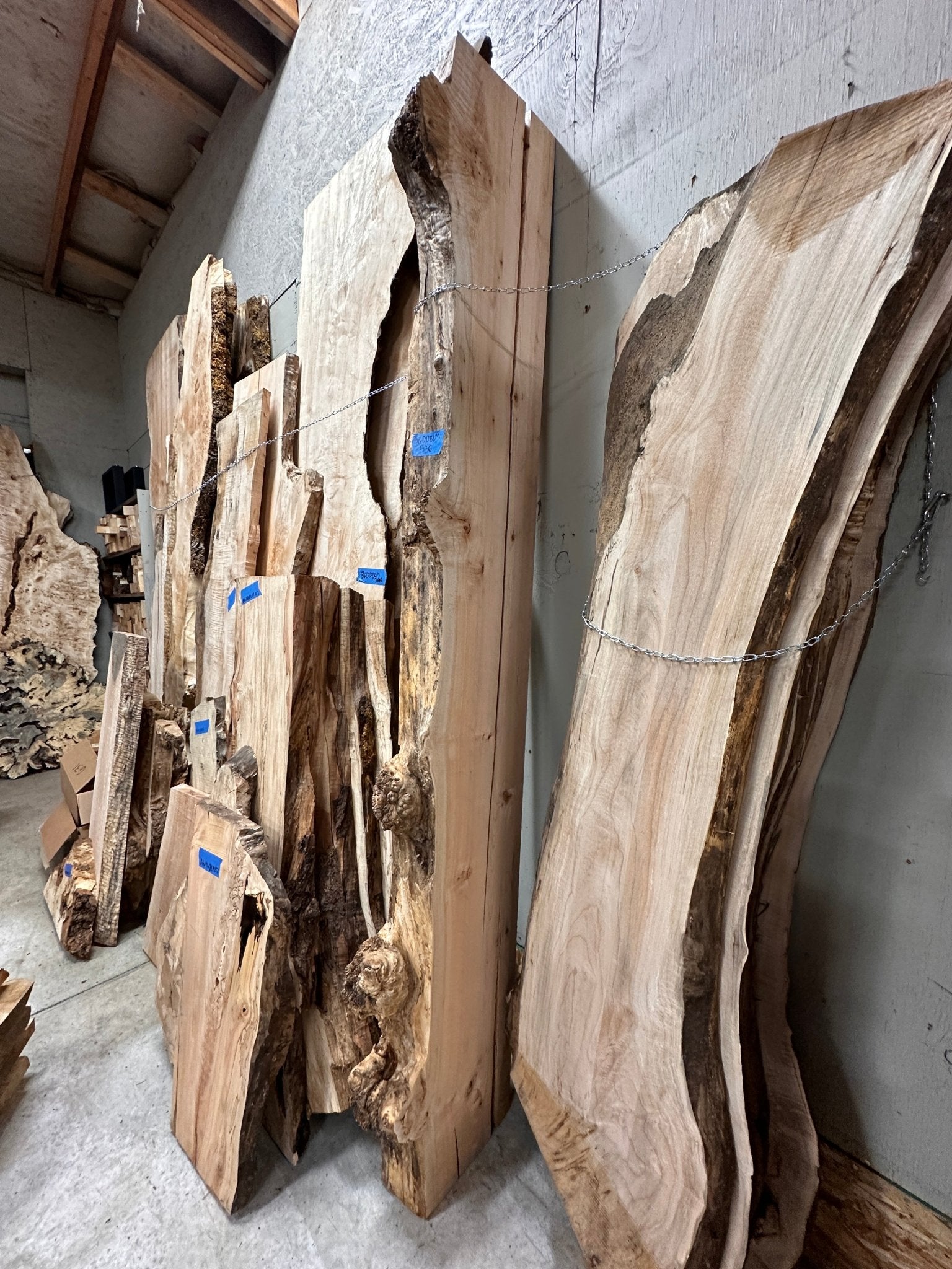 LiveEdge Big Leaf Maple Burl Mantle | Big Leaf Maple | Hamilton Lee Supply