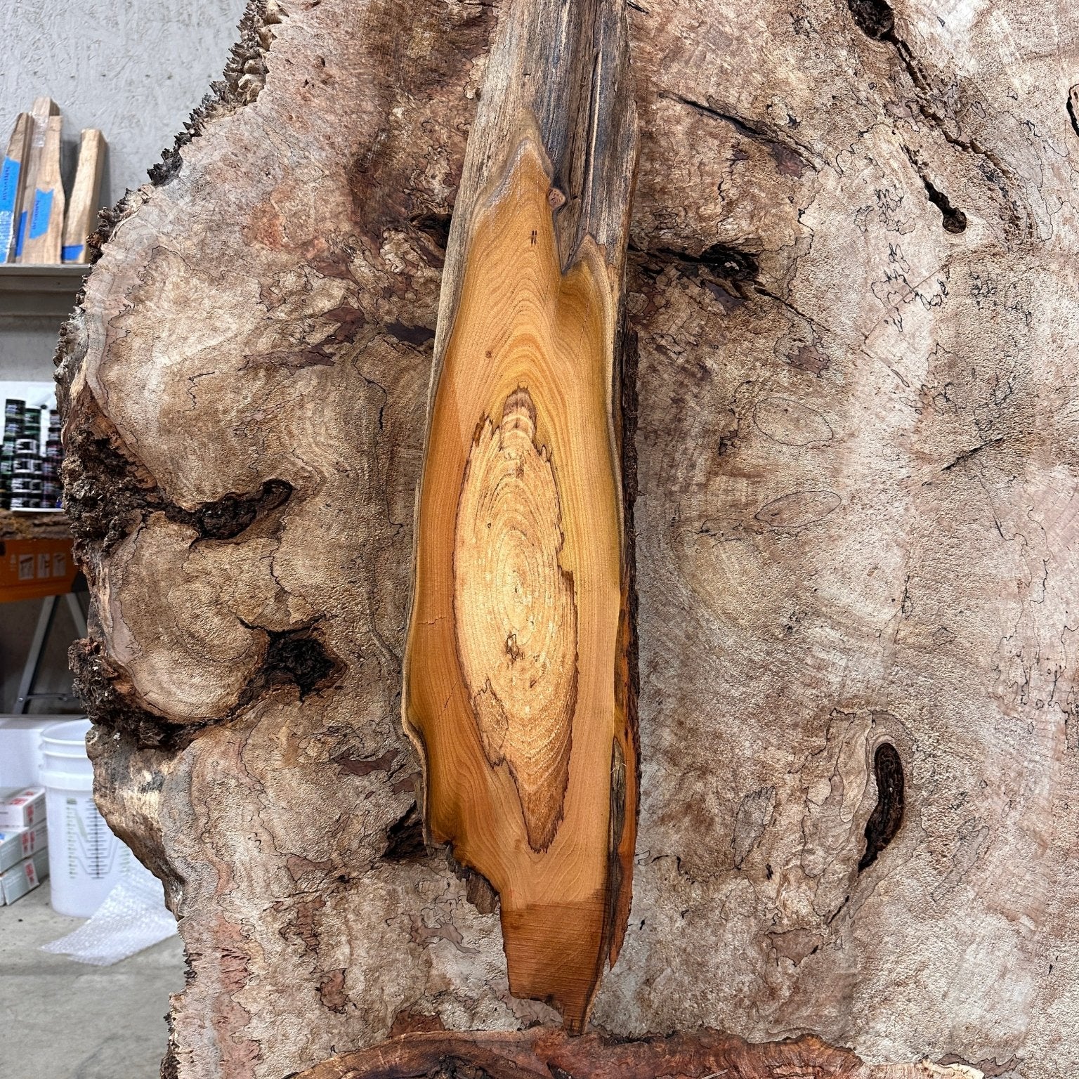 LiveEdge Black Locust | Black Locust | Hamilton Lee Supply