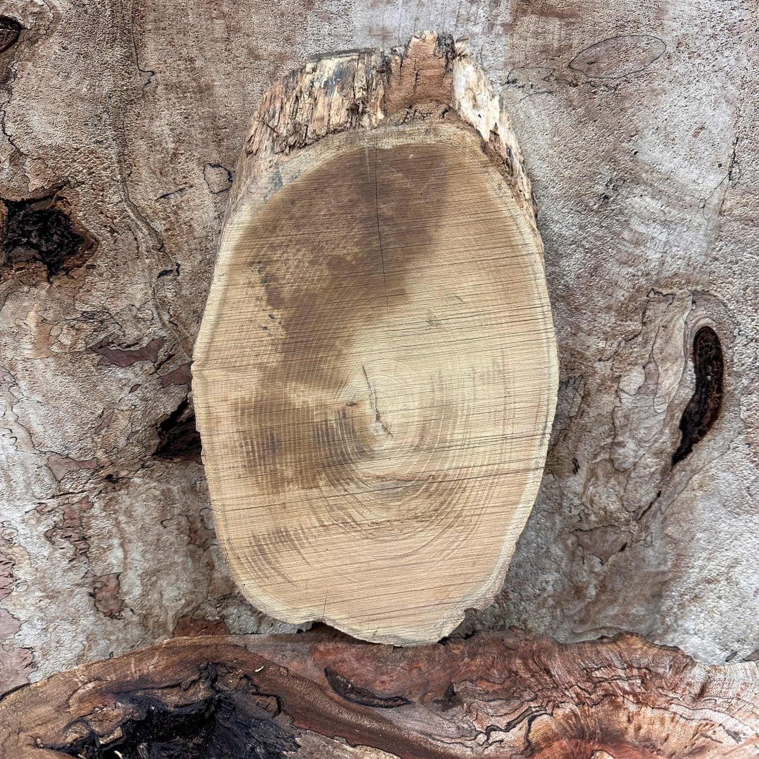 LiveEdge Black Locust | Black Locust | Hamilton Lee Supply