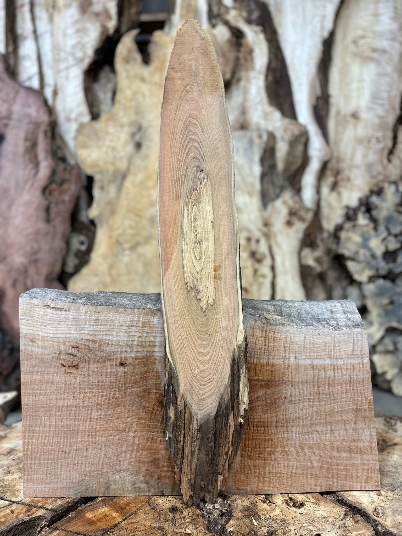 LiveEdge Black Locust | Black Locust | Hamilton Lee Supply