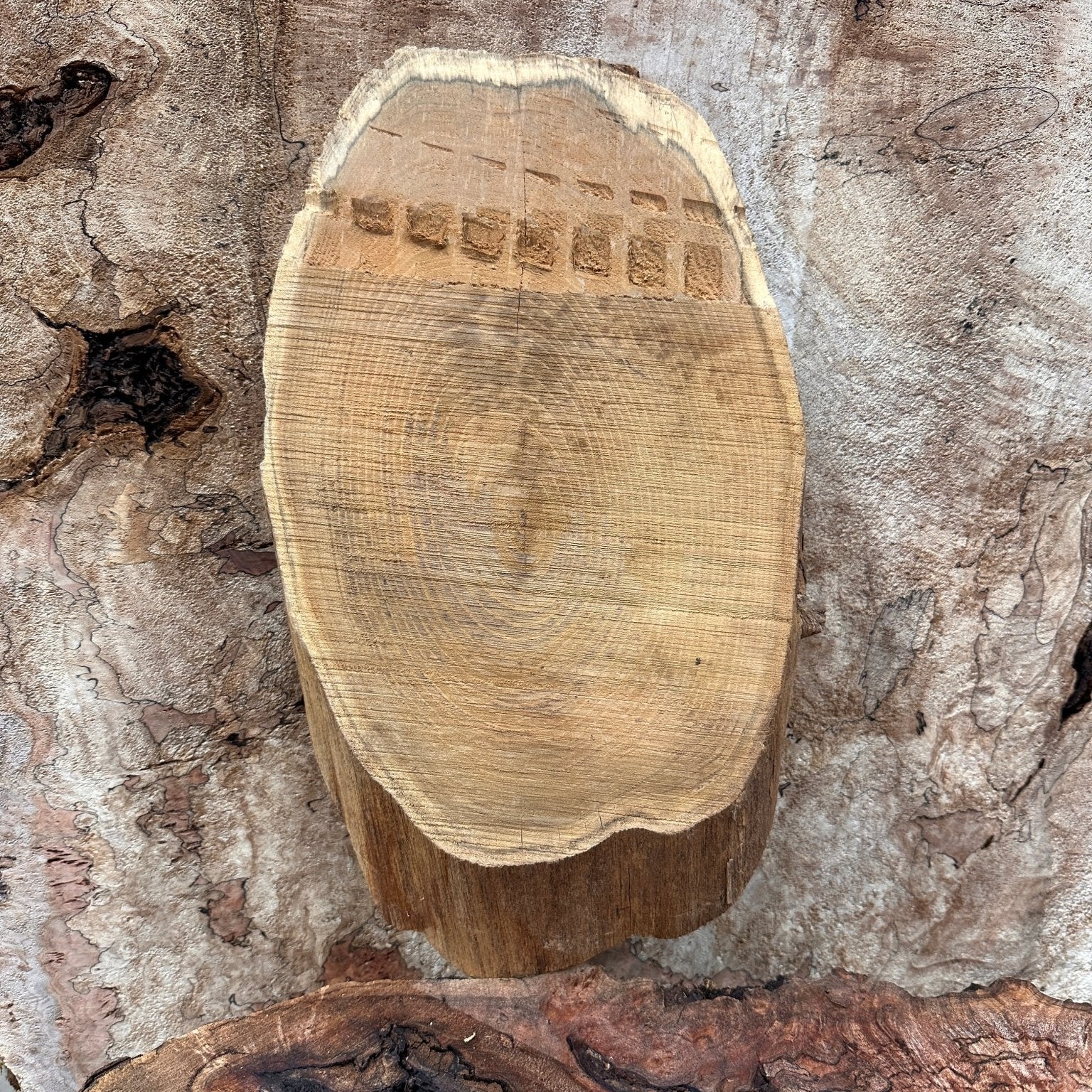 LiveEdge Black Locust | Black Locust | Hamilton Lee Supply