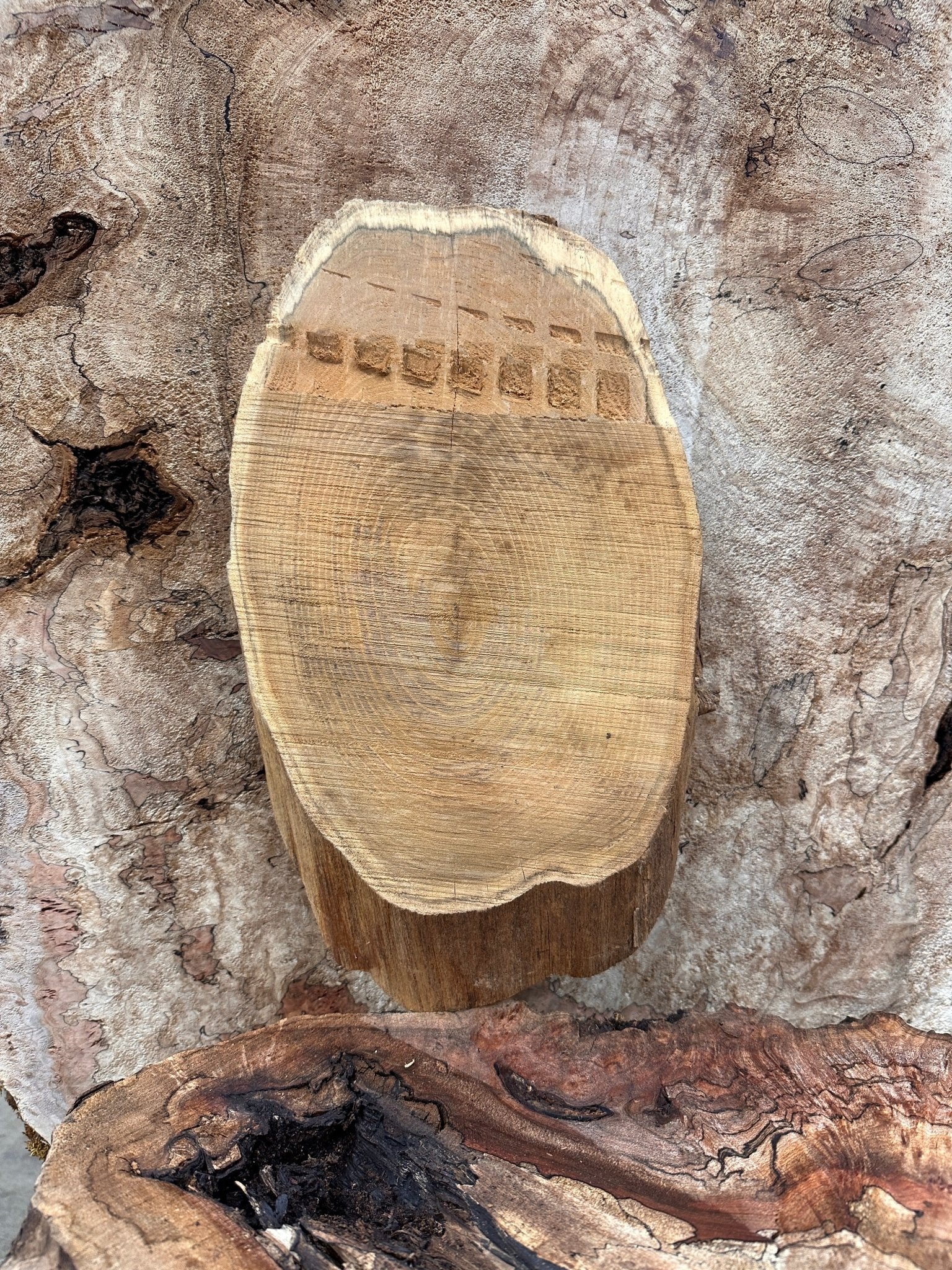 LiveEdge Black Locust | Black Locust | Hamilton Lee Supply