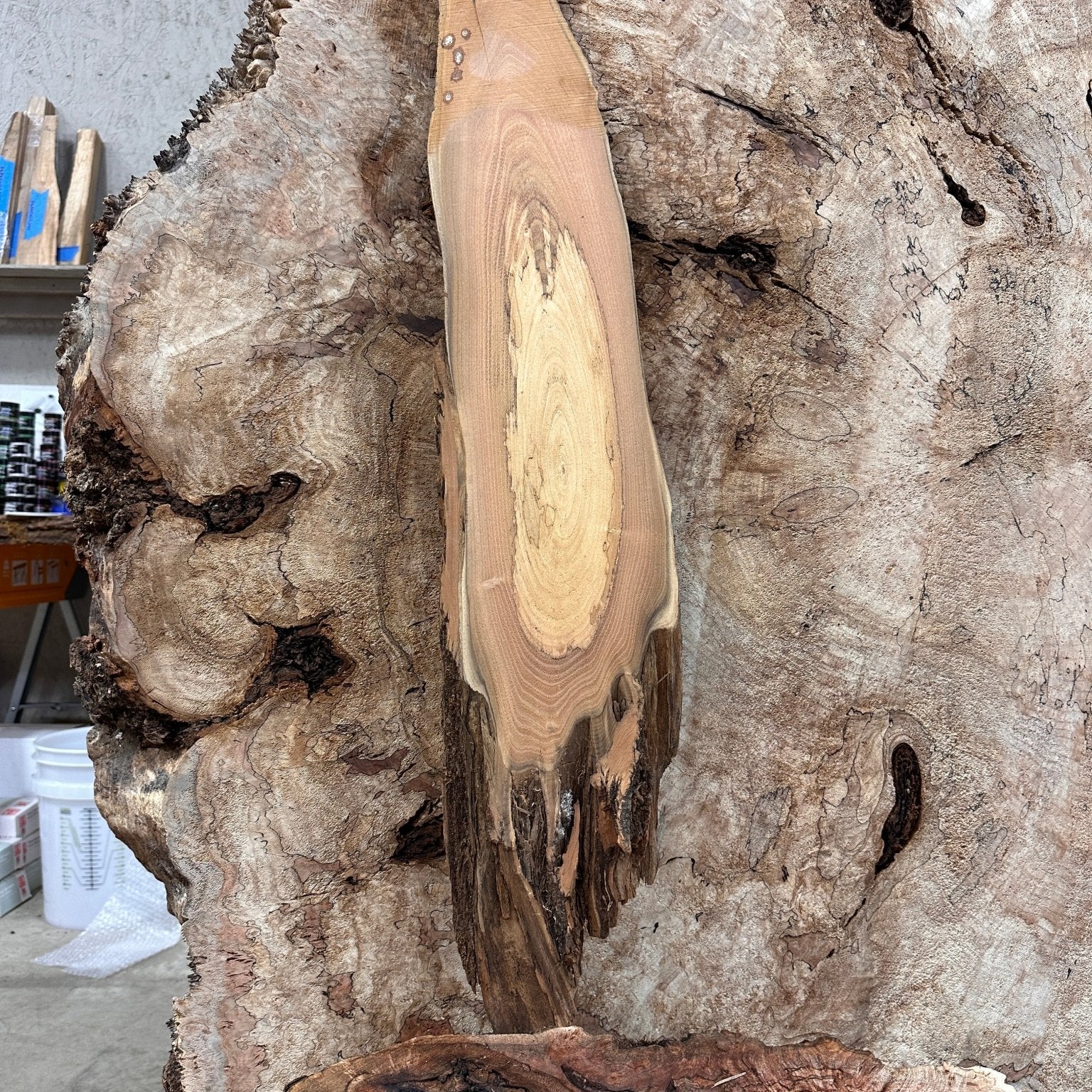 LiveEdge Black Locust | Black Locust | Hamilton Lee Supply