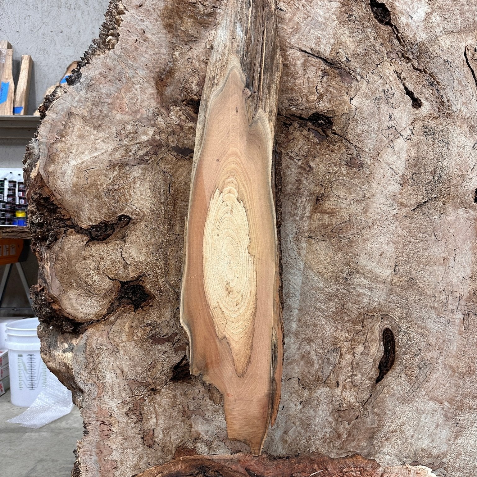 LiveEdge Black Locust | Black Locust | Hamilton Lee Supply