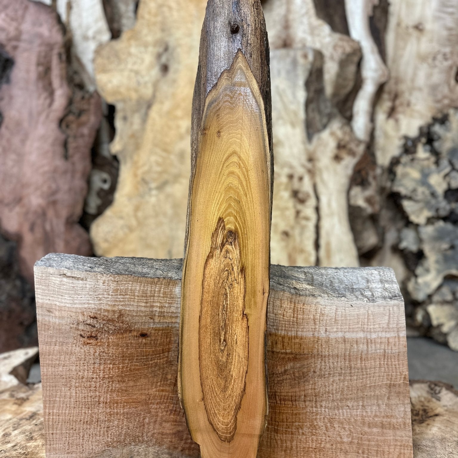 LiveEdge Black Locust | Black Locust | Hamilton Lee Supply