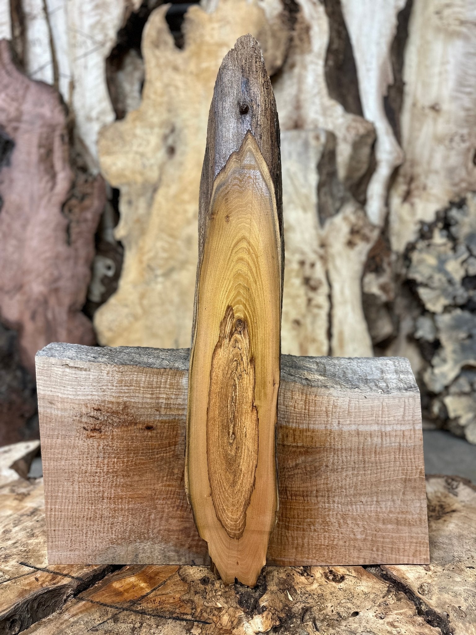 LiveEdge Black Locust | Black Locust | Hamilton Lee Supply