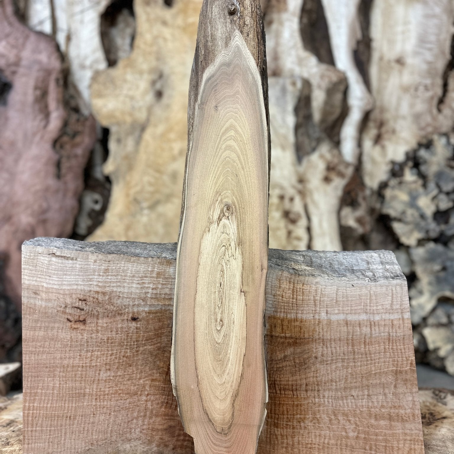 LiveEdge Black Locust | Black Locust | Hamilton Lee Supply