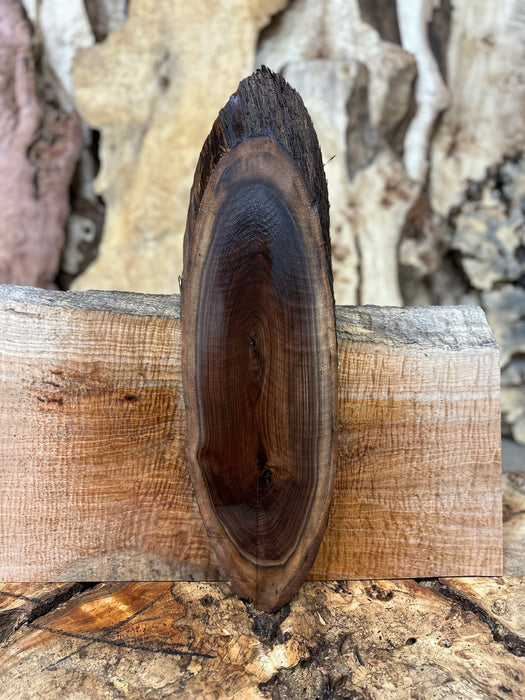 Double Diamond | LiveEdge Black Walnut | Black Walnut | Hamilton Lee Supply