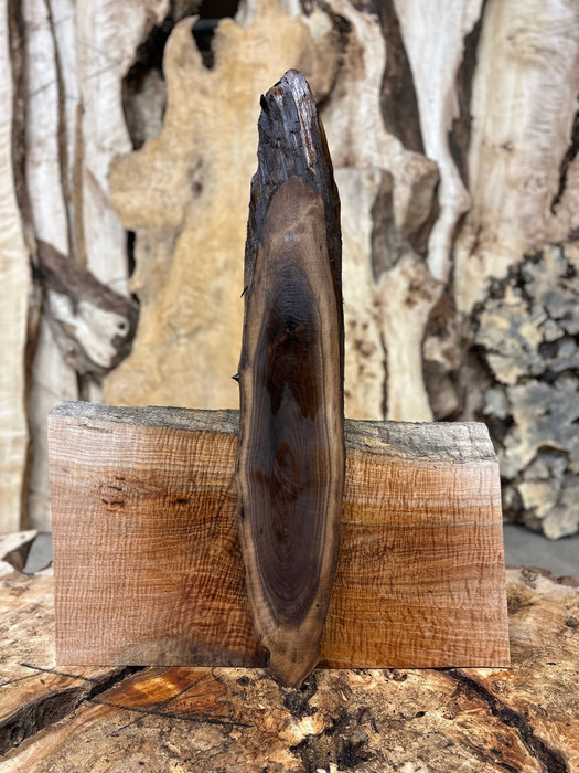 Double Diamond | LiveEdge Black Walnut | Black Walnut | Hamilton Lee Supply