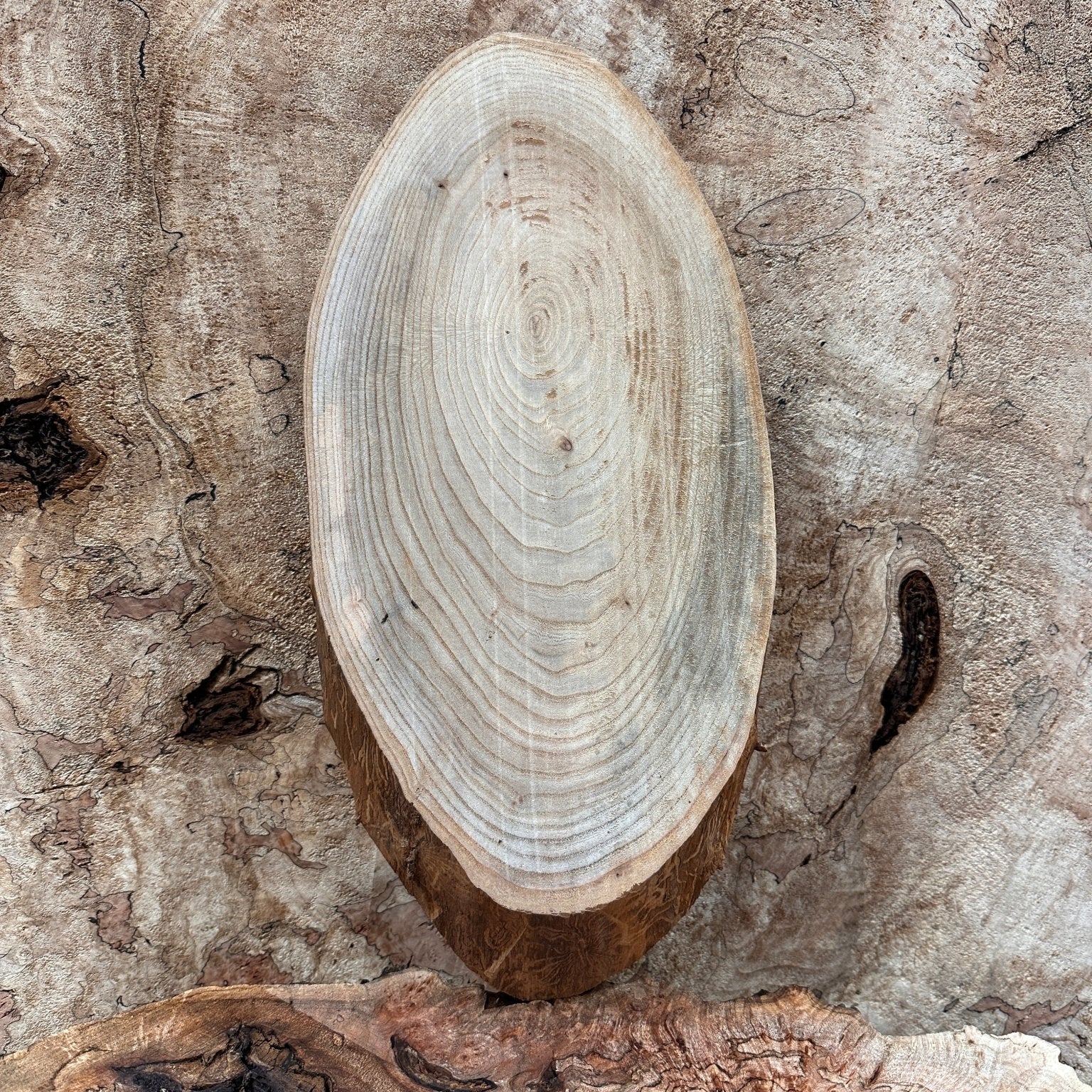 LiveEdge Elm | Elm | Hamilton Lee Supply