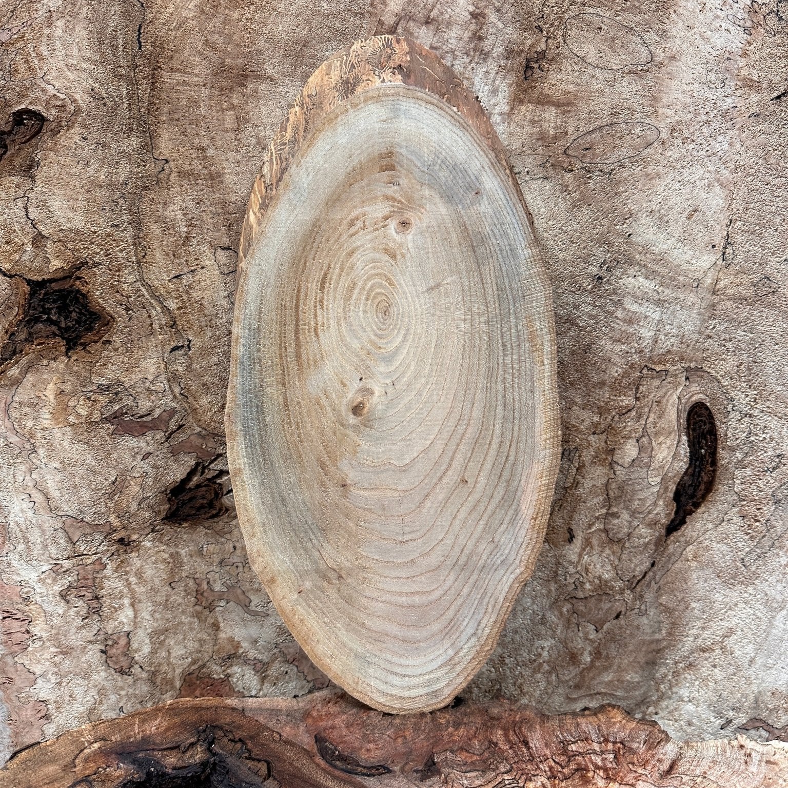 LiveEdge Elm | Elm | Hamilton Lee Supply