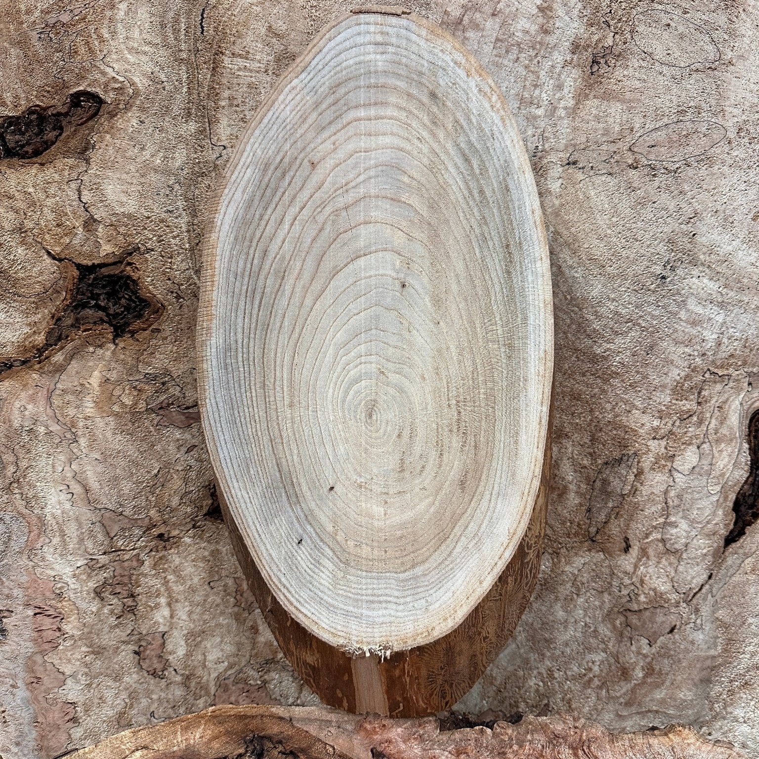 LiveEdge Elm | Elm | Hamilton Lee Supply