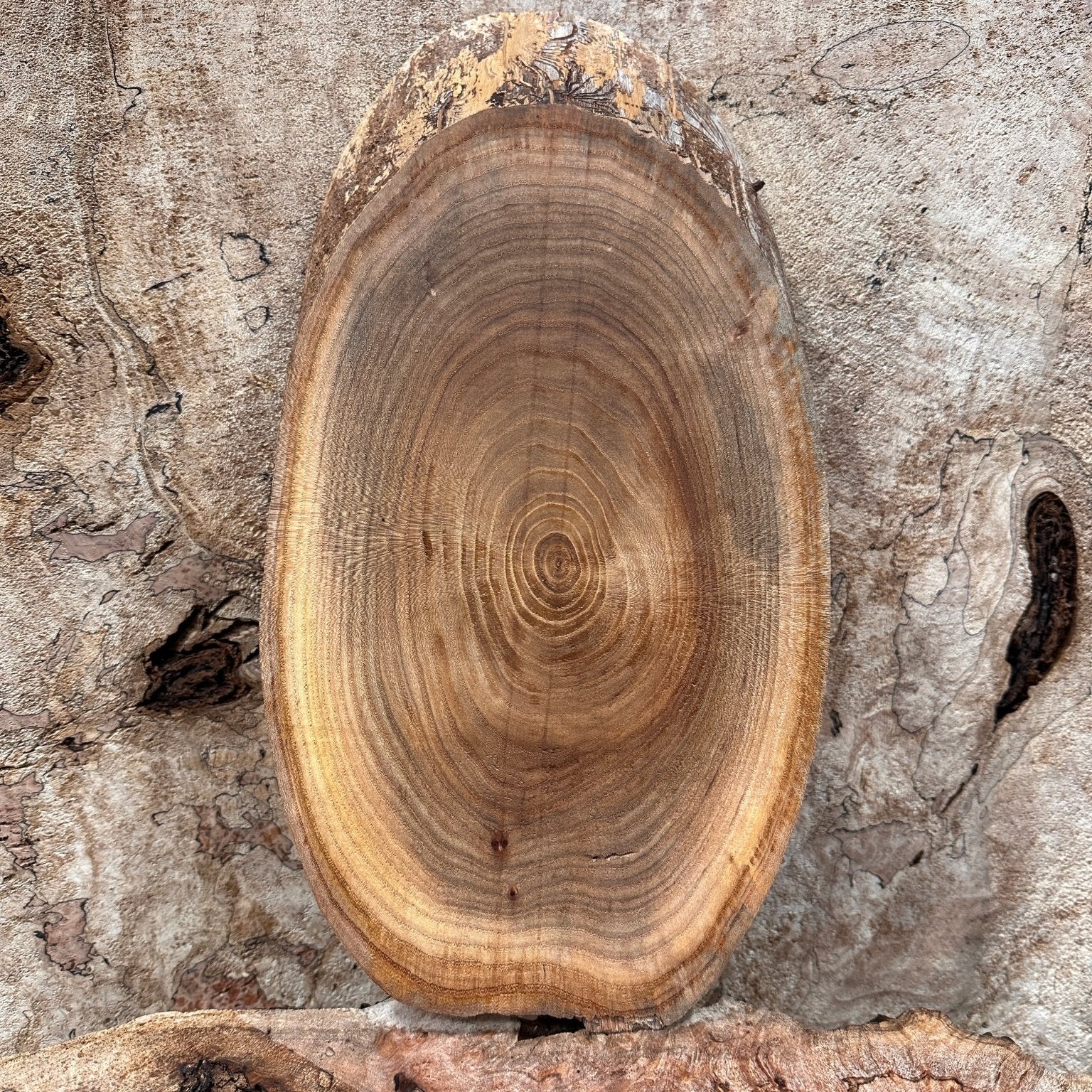 LiveEdge Elm | Elm | Hamilton Lee Supply