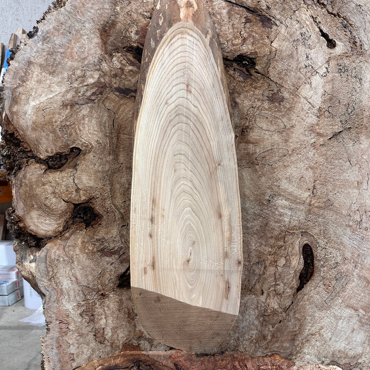 LiveEdge Elm | Elm | Hamilton Lee Supply