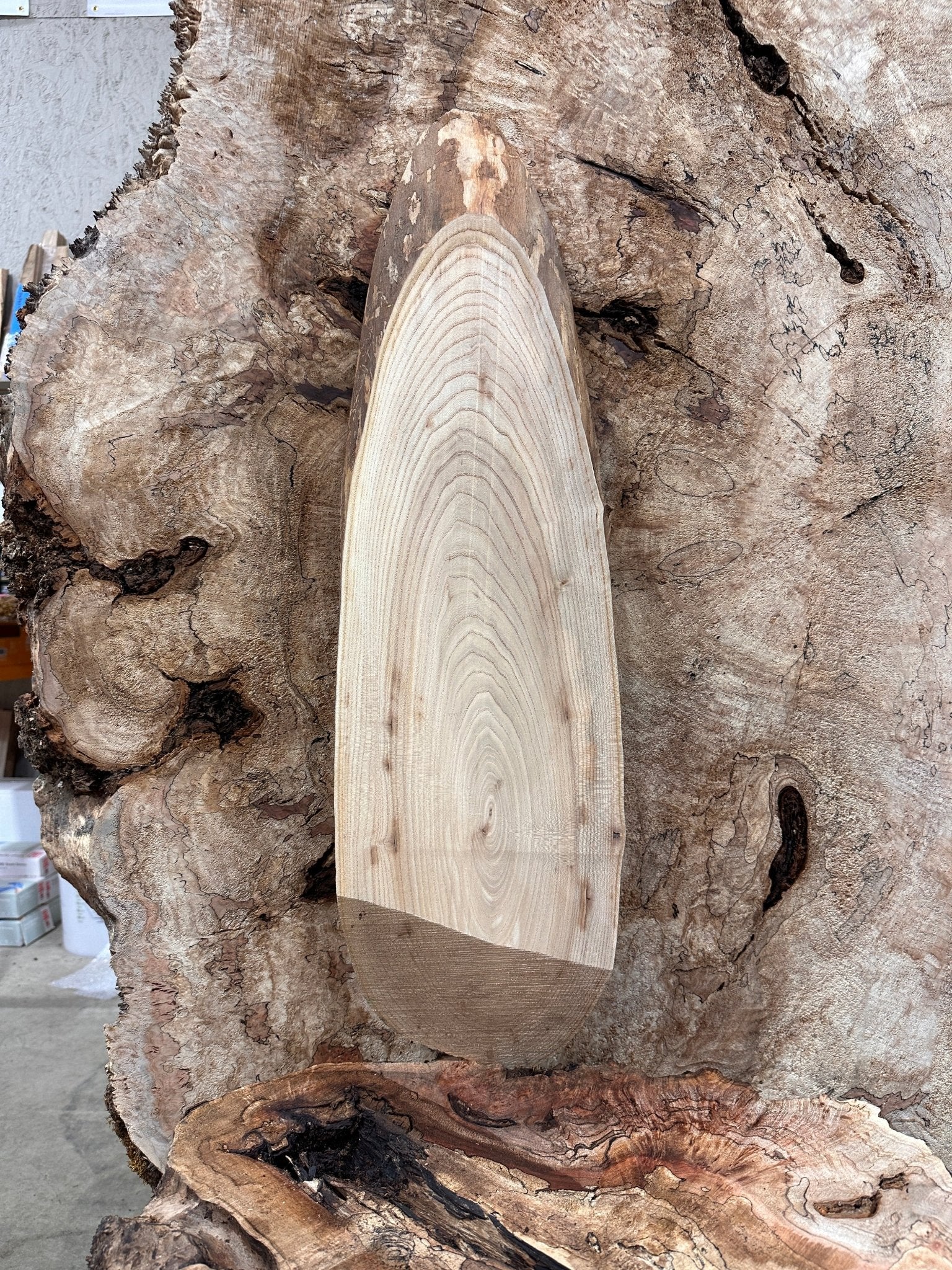 LiveEdge Elm | Elm | Hamilton Lee Supply