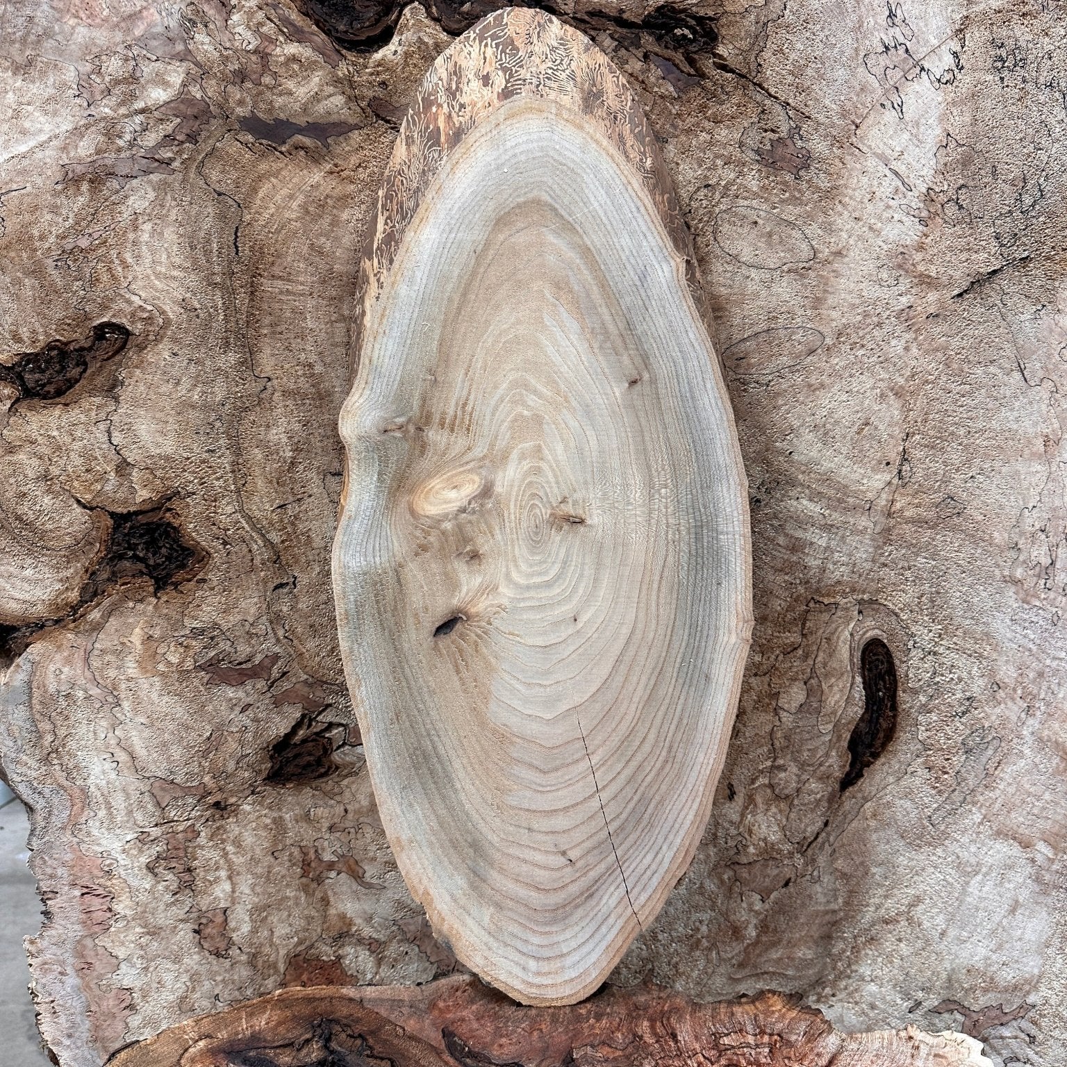 LiveEdge Elm | Elm | Hamilton Lee Supply