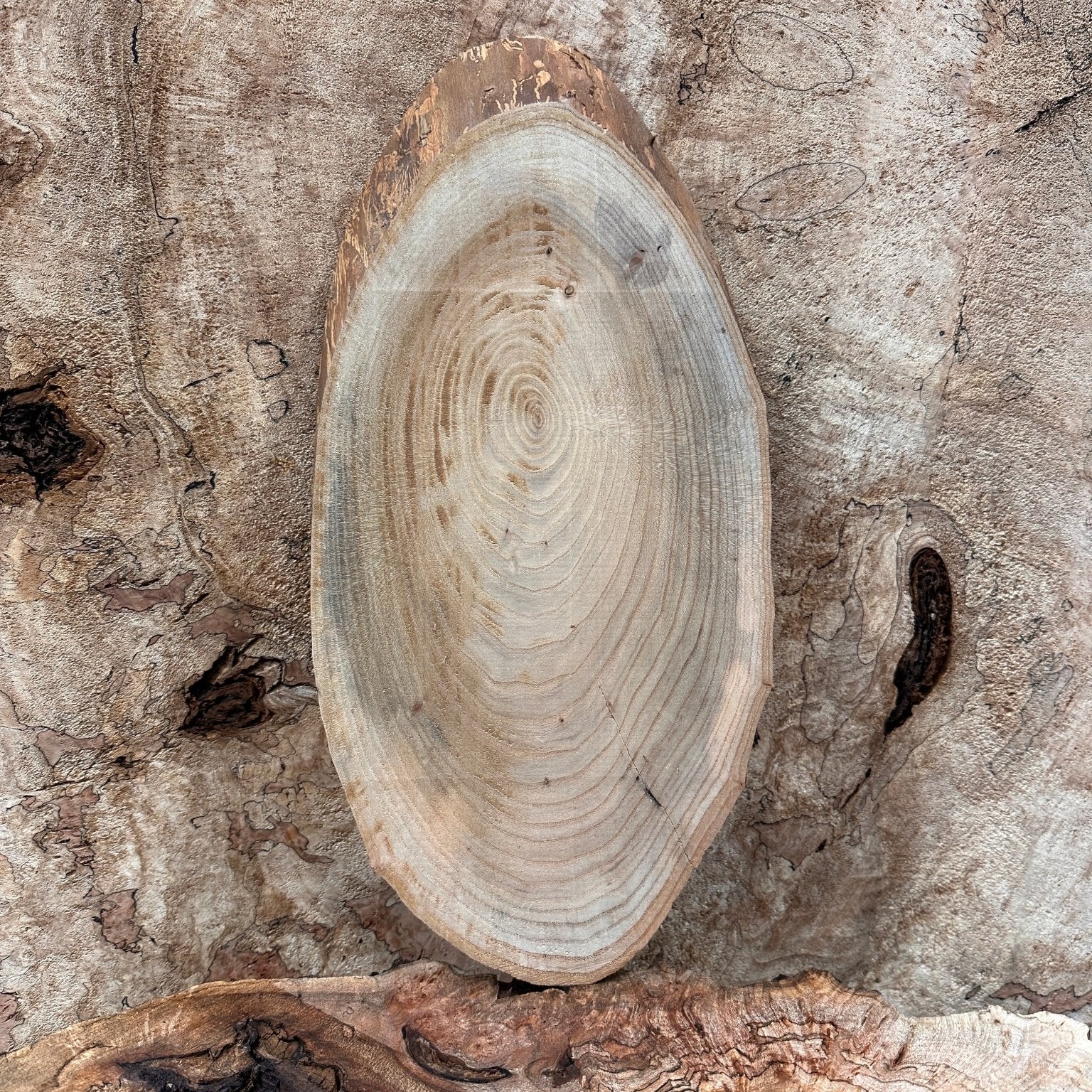 LiveEdge Elm | Elm | Hamilton Lee Supply