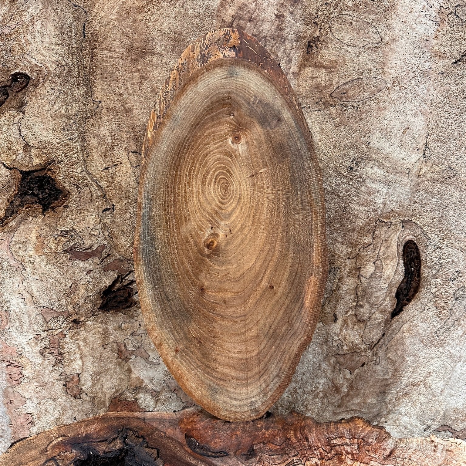LiveEdge Elm | Elm | Hamilton Lee Supply