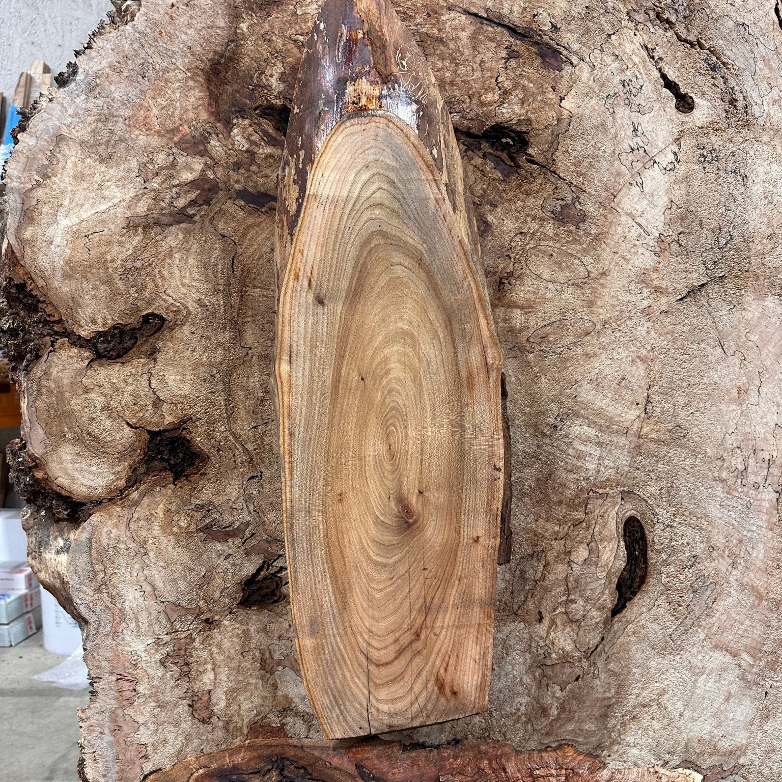 LiveEdge Elm | Elm | Hamilton Lee Supply