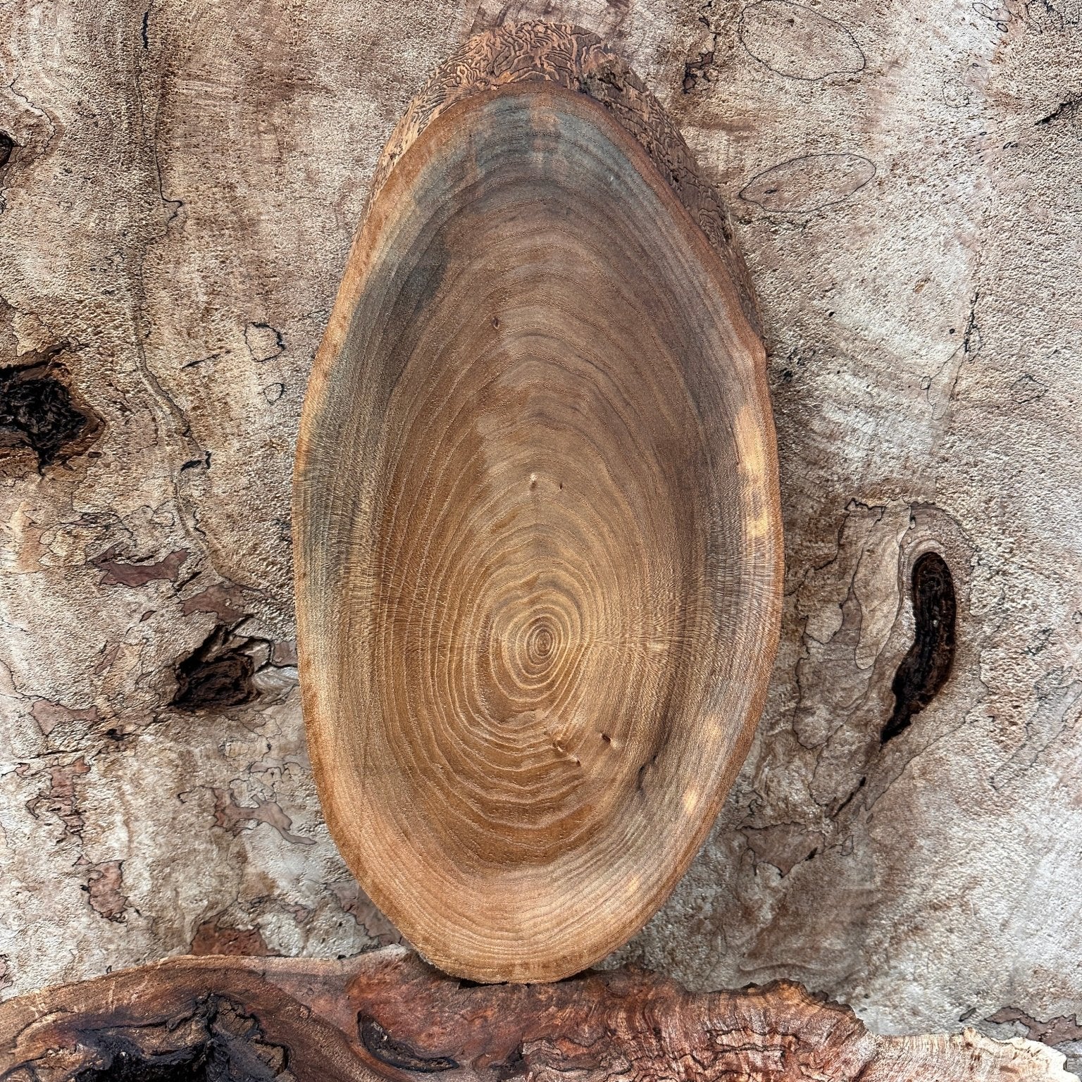 LiveEdge Elm | Elm | Hamilton Lee Supply