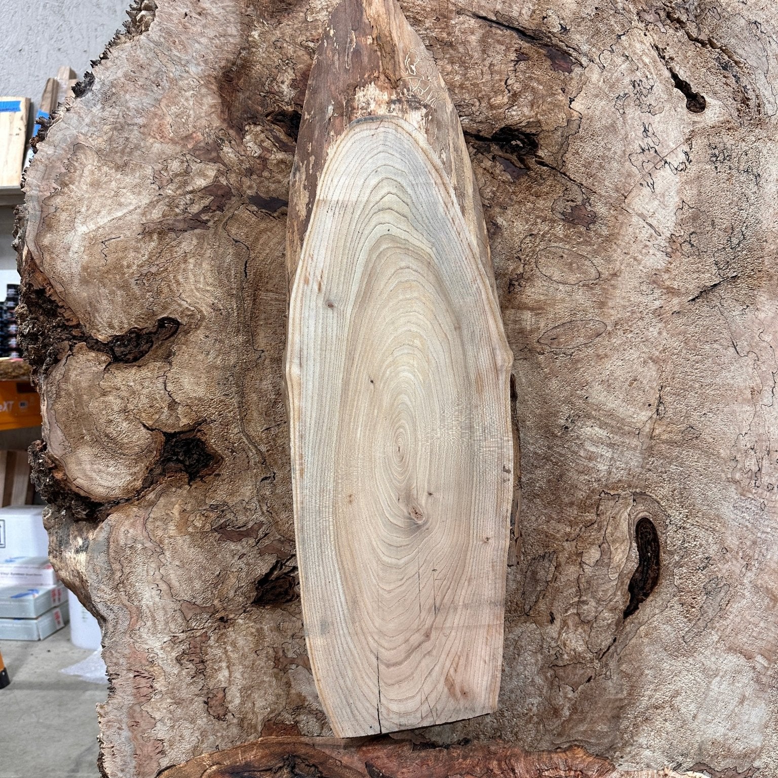 LiveEdge Elm | Elm | Hamilton Lee Supply