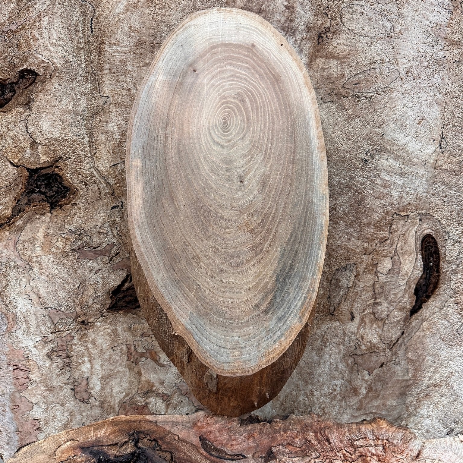 LiveEdge Elm | Elm | Hamilton Lee Supply