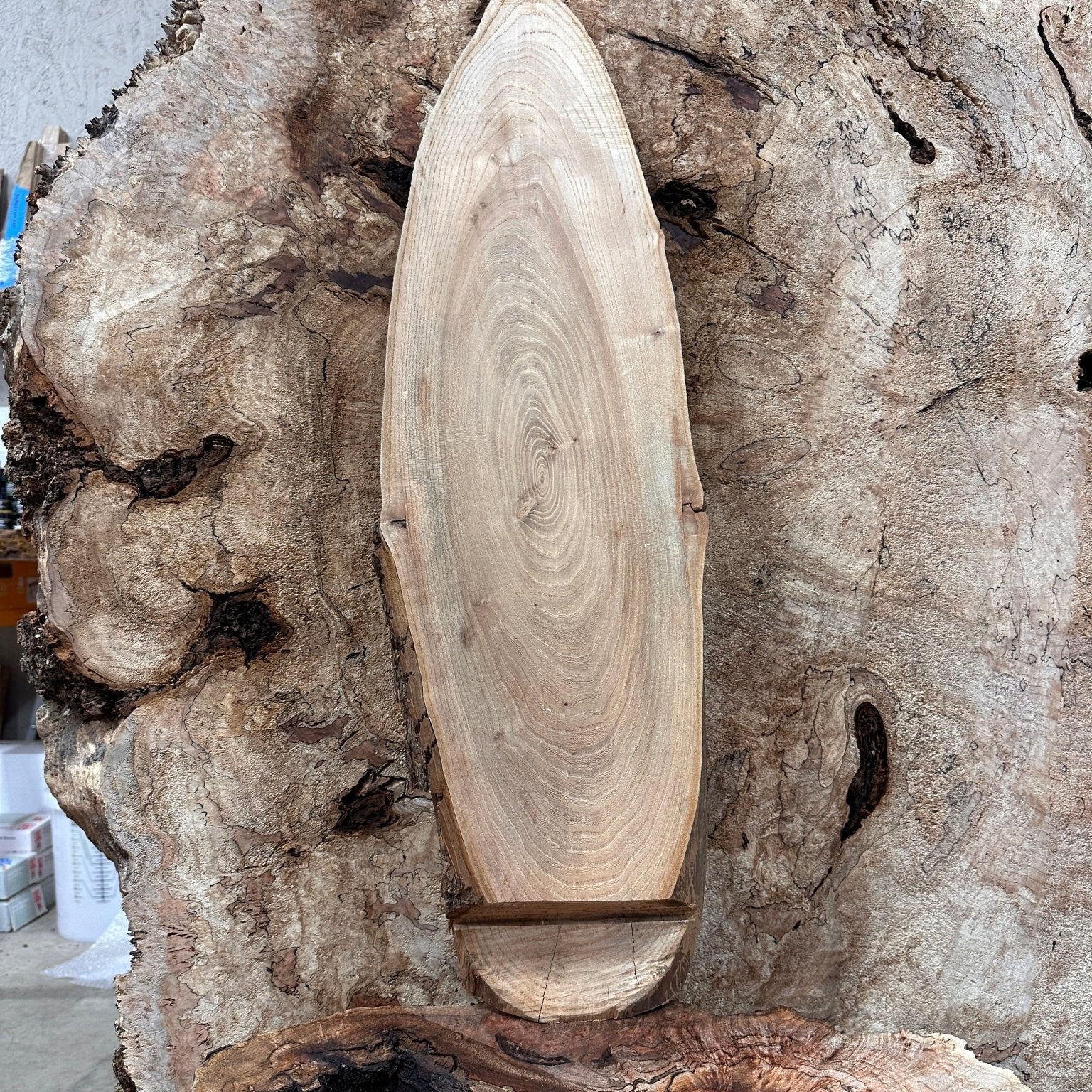 LiveEdge Elm | Elm | Hamilton Lee Supply