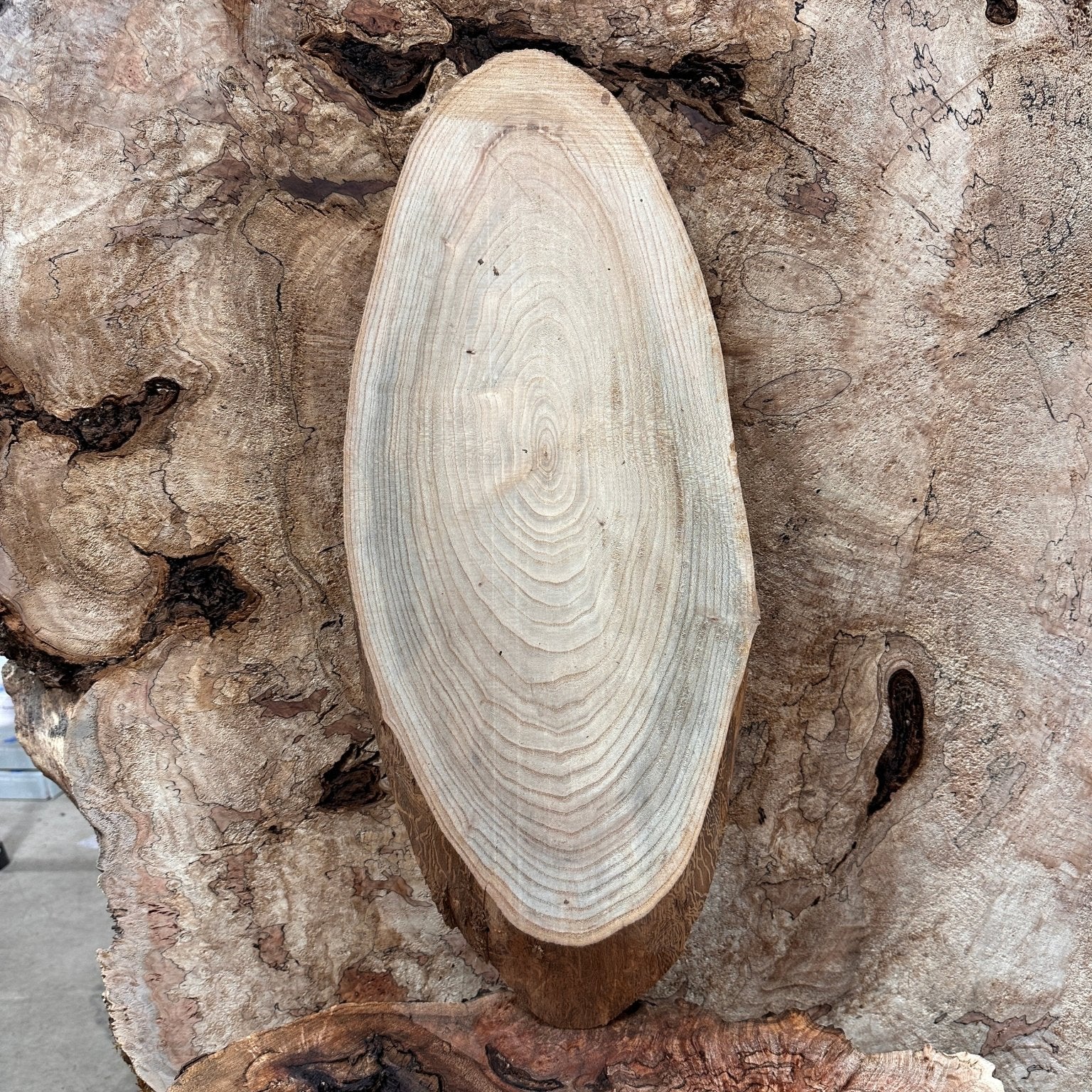 LiveEdge Elm | Elm | Hamilton Lee Supply