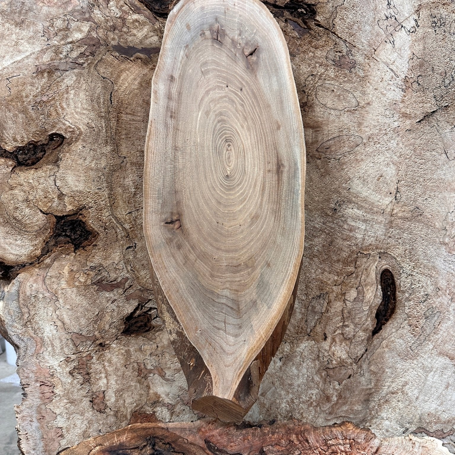 LiveEdge Elm | Elm | Hamilton Lee Supply