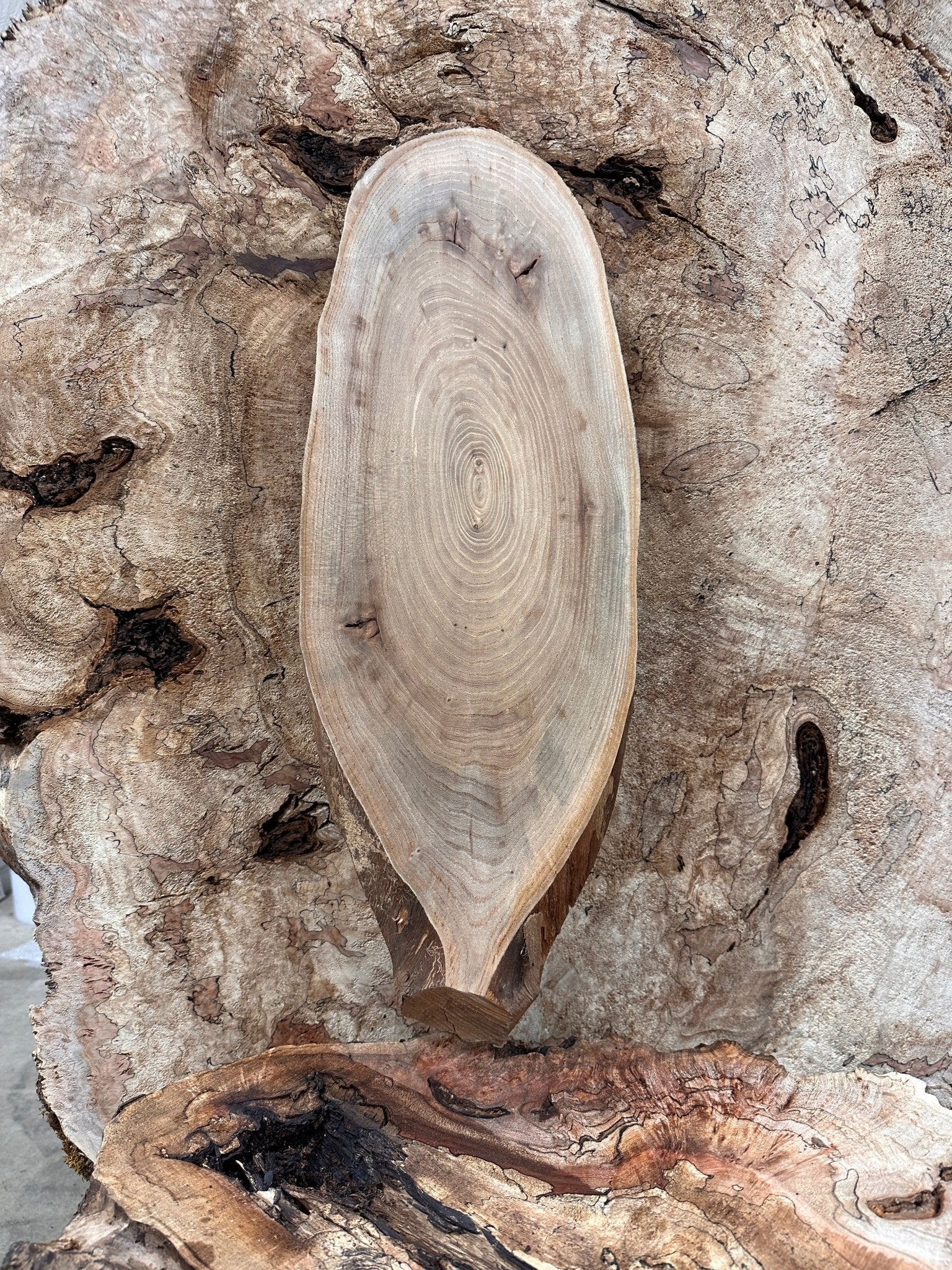 LiveEdge Elm | Elm | Hamilton Lee Supply