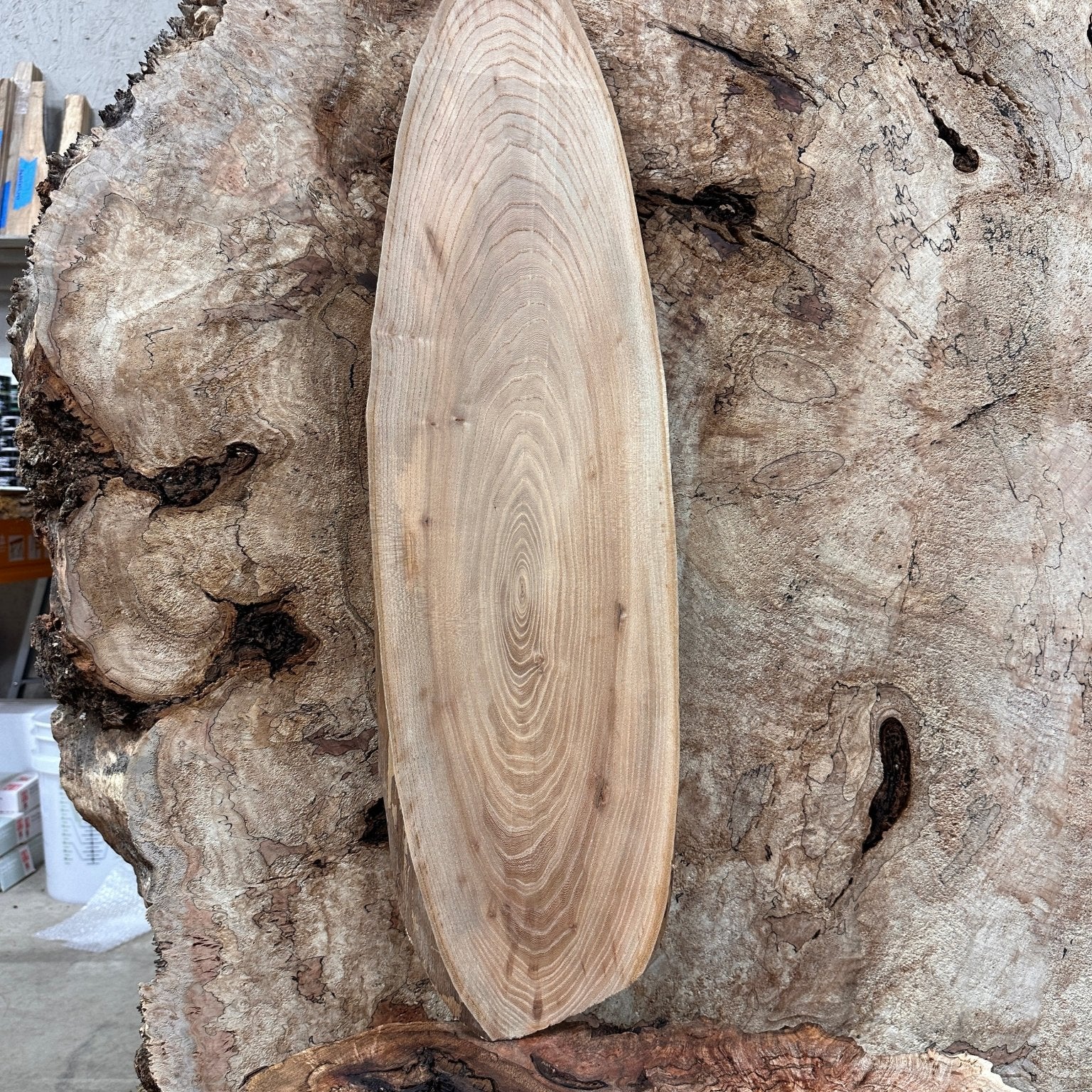 LiveEdge Elm | Elm | Hamilton Lee Supply