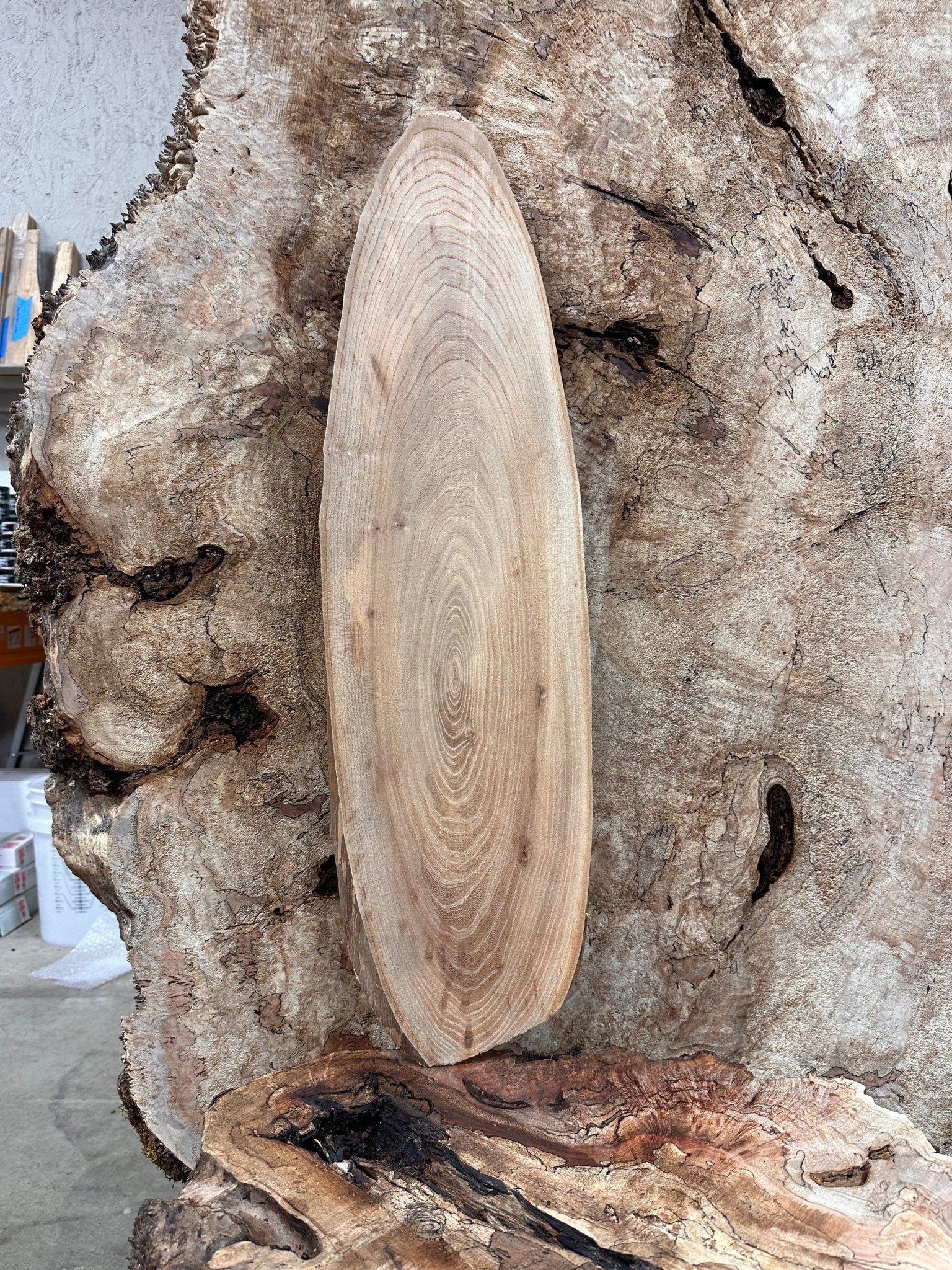 LiveEdge Elm | Elm | Hamilton Lee Supply
