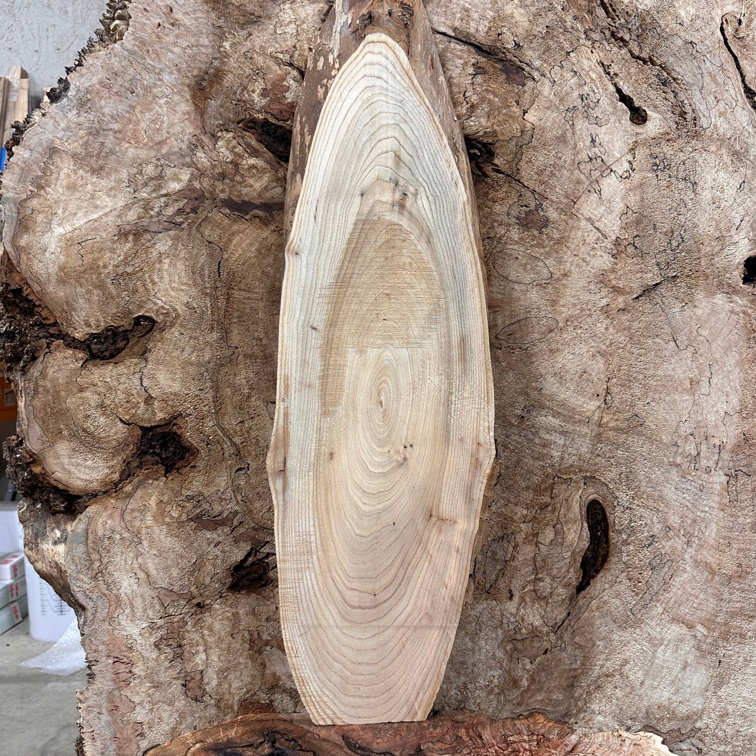 LiveEdge Elm | Elm | Hamilton Lee Supply