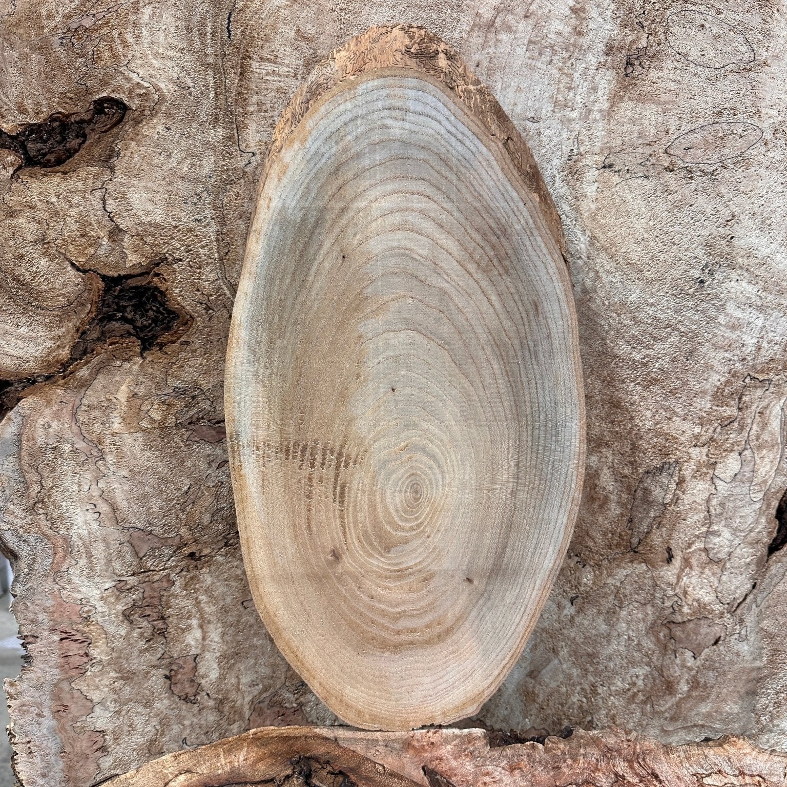 LiveEdge Elm | Elm | Hamilton Lee Supply