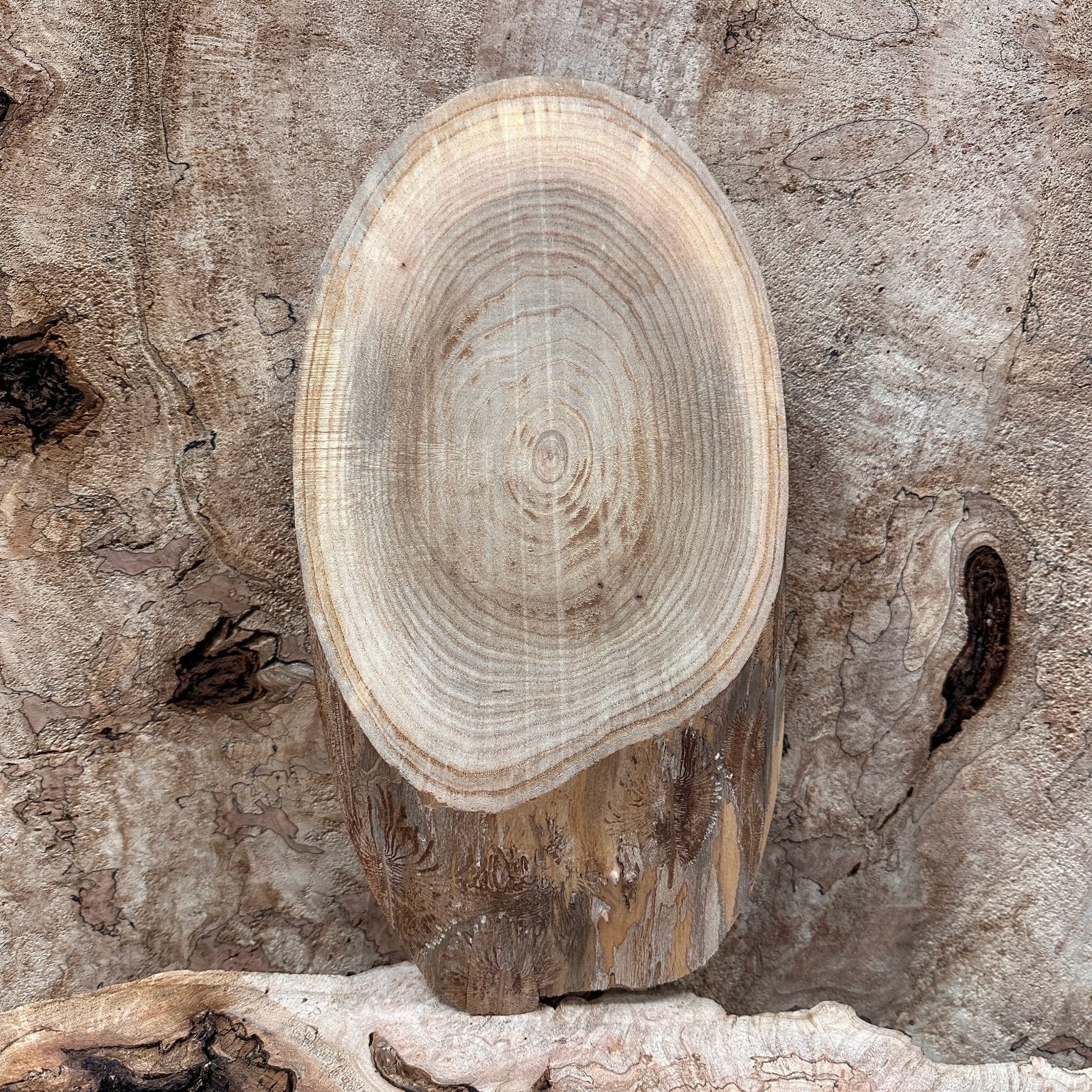 LiveEdge Elm | Elm | Hamilton Lee Supply
