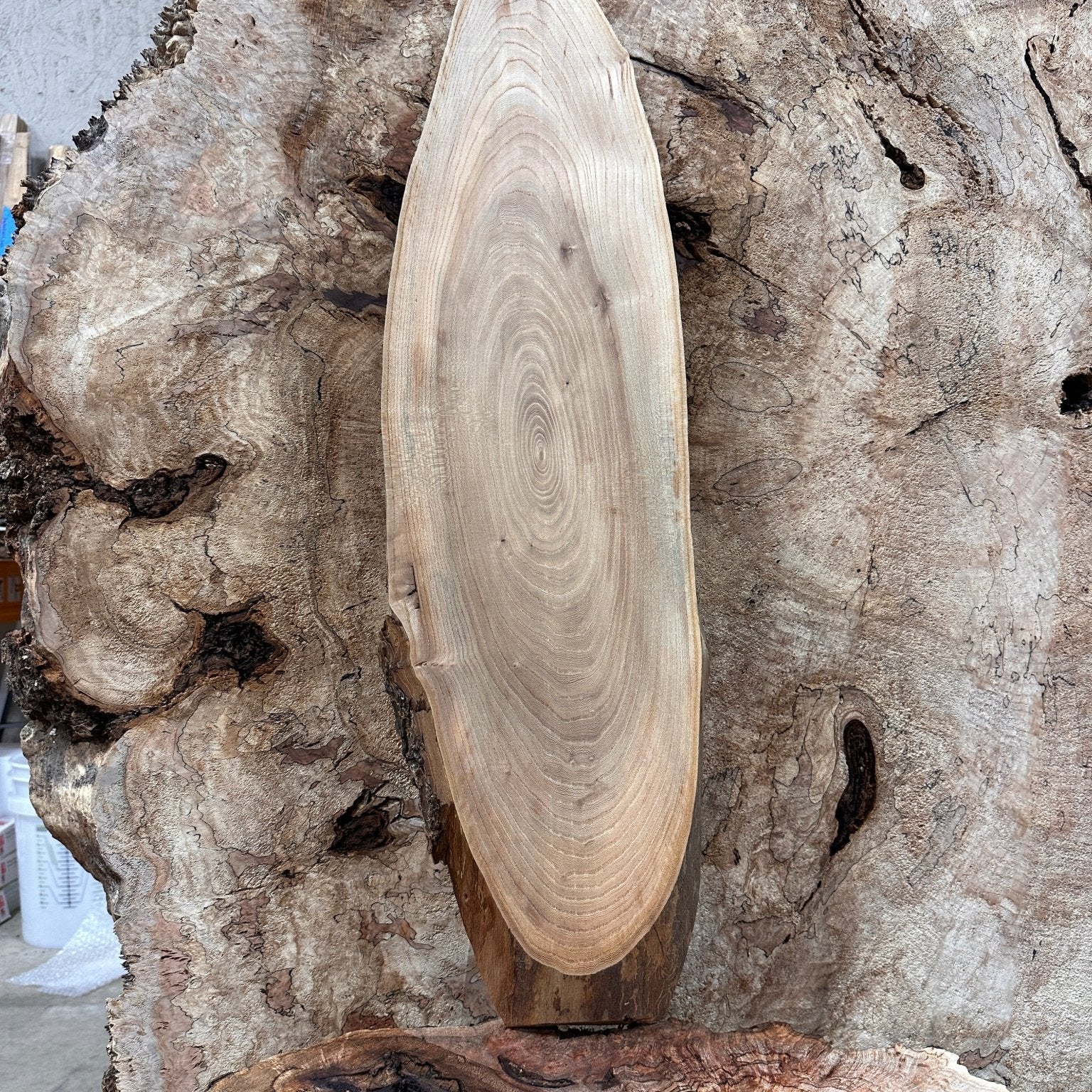 LiveEdge Elm | Elm | Hamilton Lee Supply