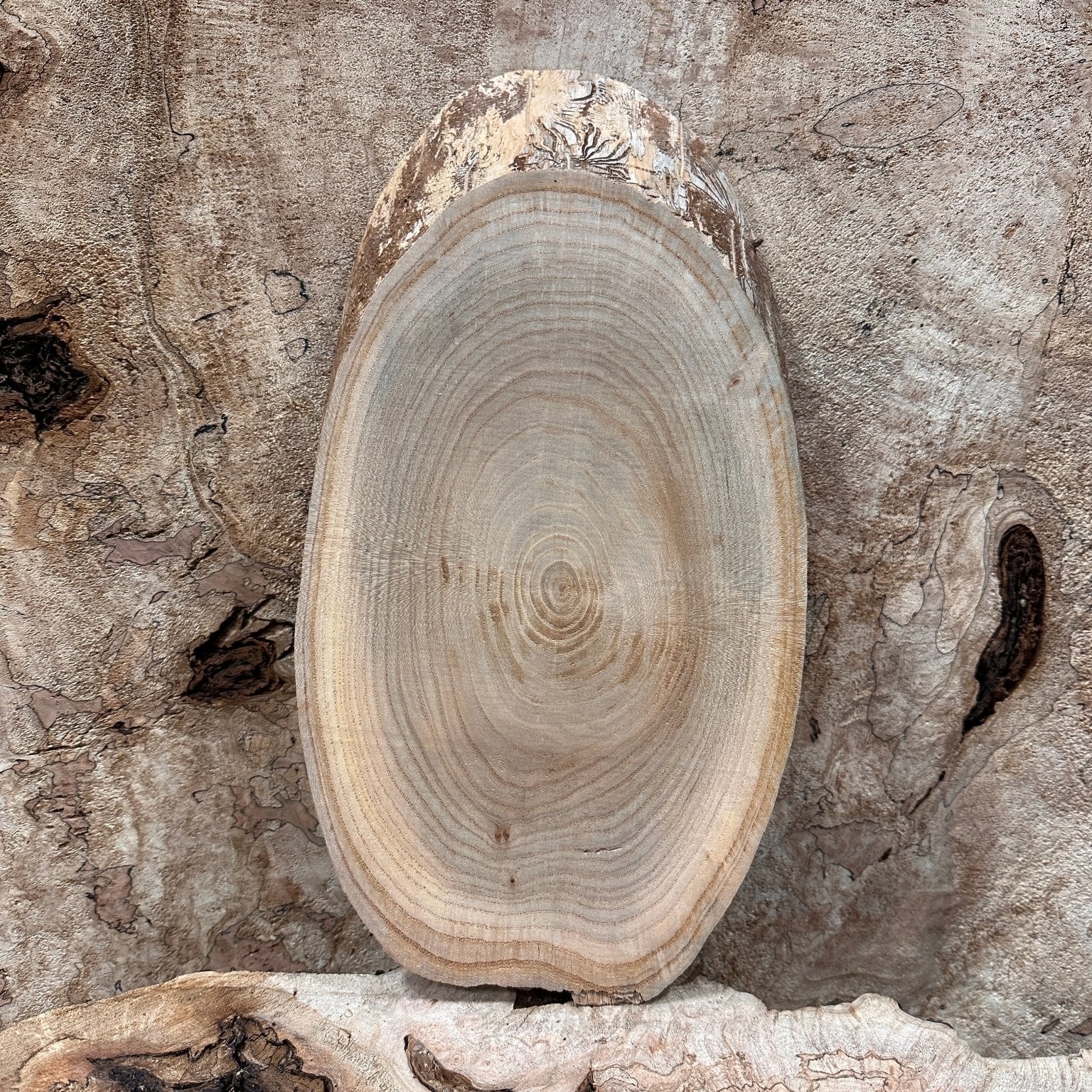 LiveEdge Elm | Elm | Hamilton Lee Supply